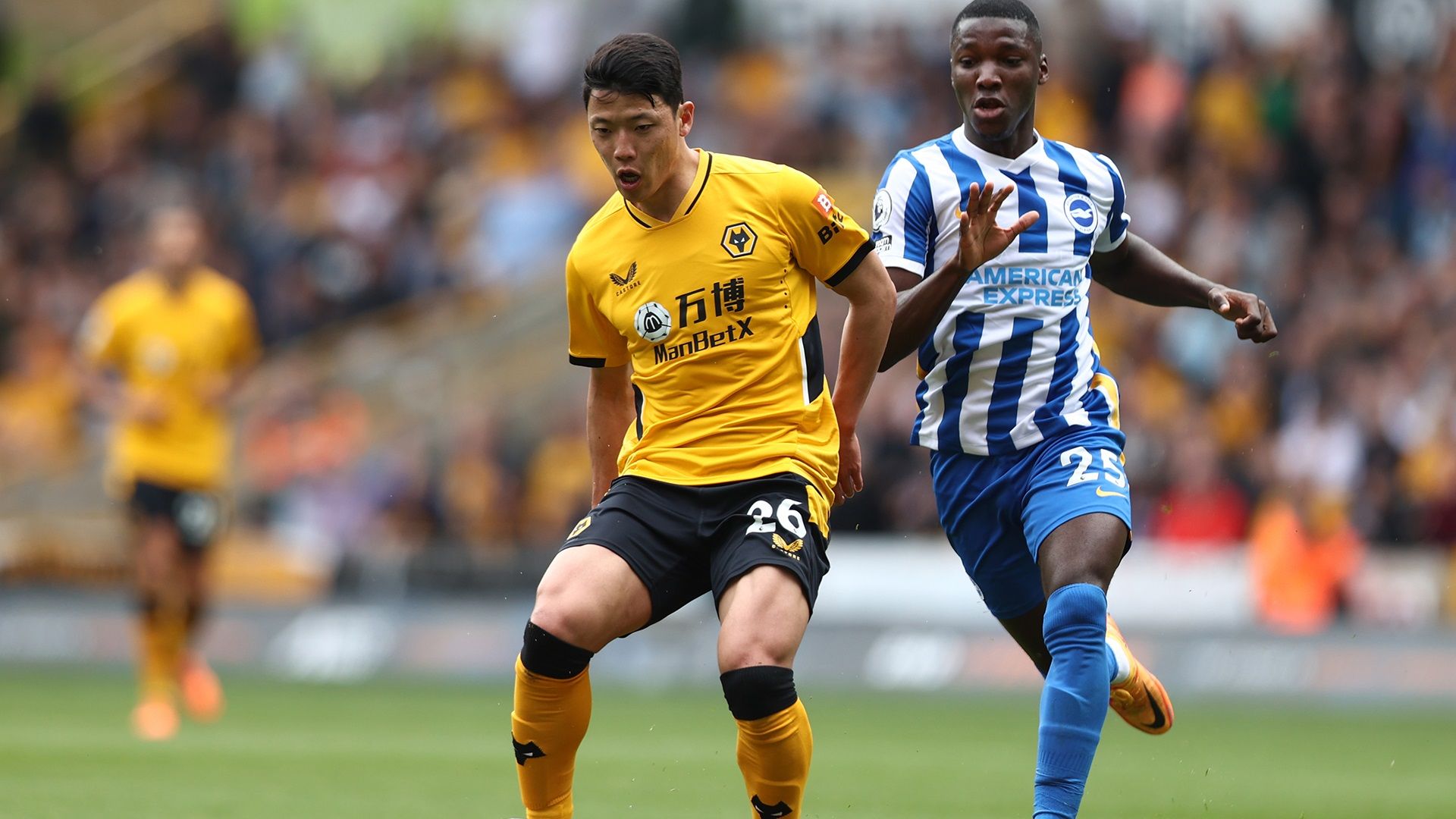 황희찬 VS 브라이튼