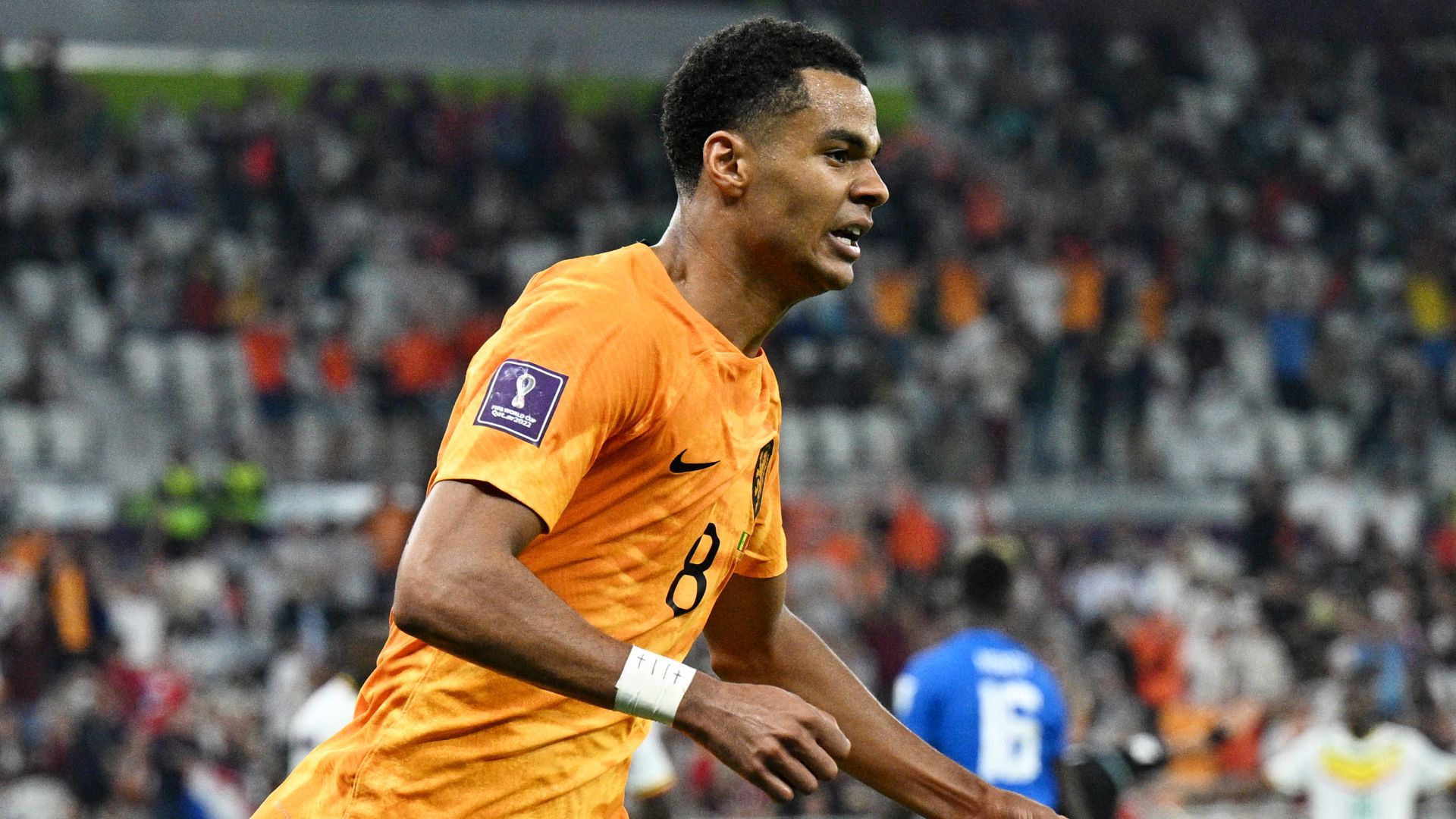 Cody Gakpo Celebrating WC 2022