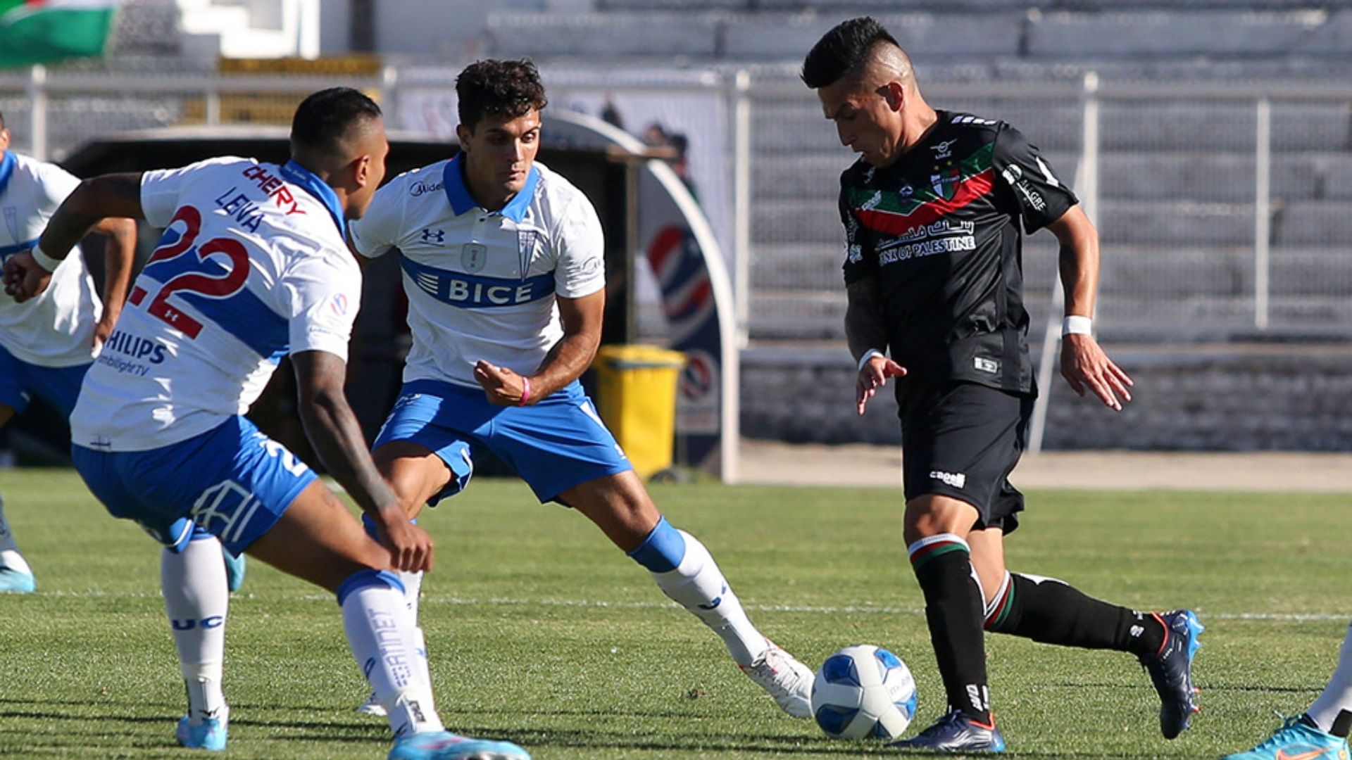 Universidad Católica - Palestino