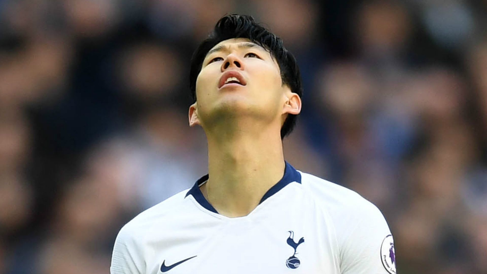 Son Heung-min Tottenham 2018-19