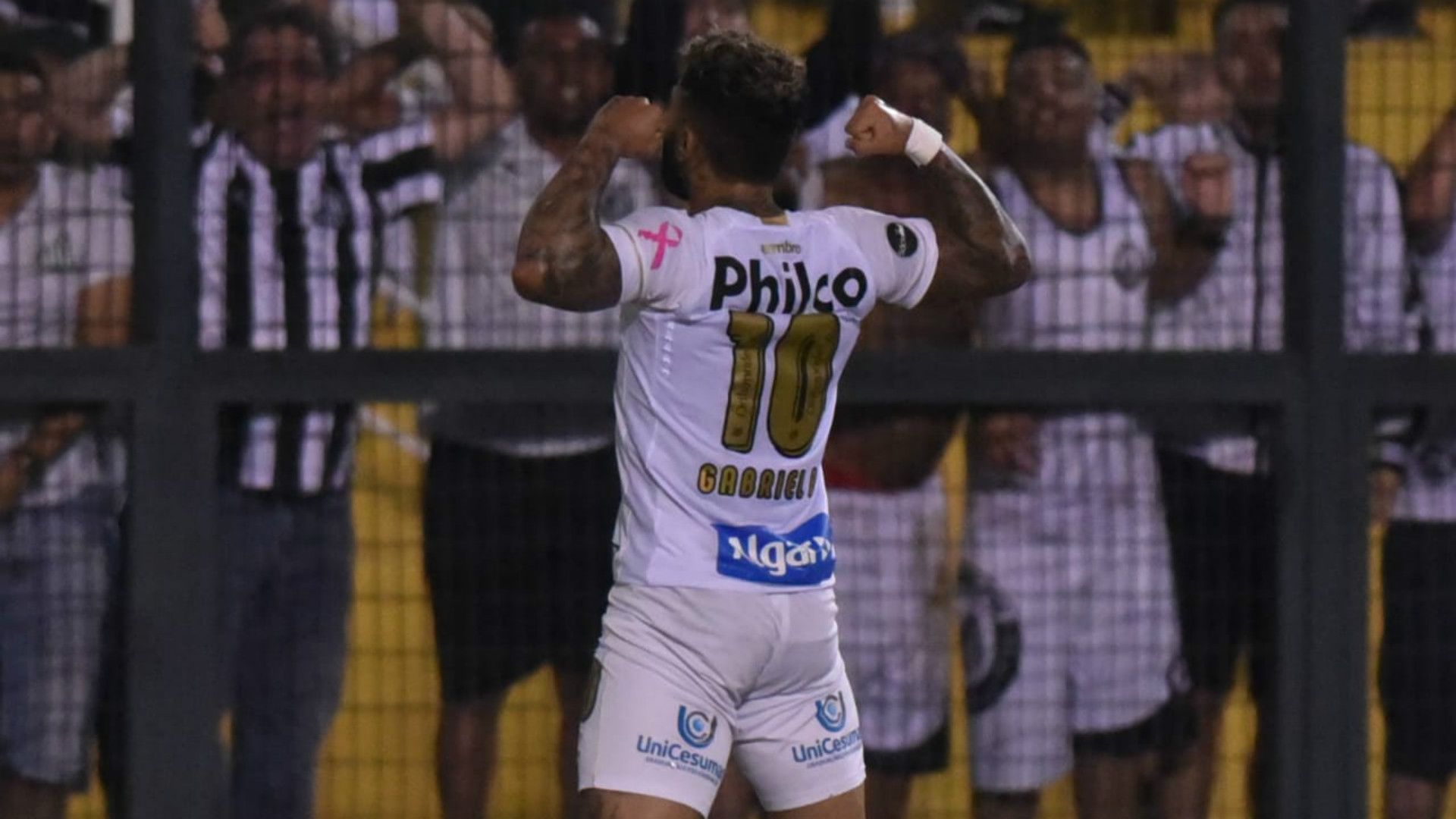 Gabriel - Gabigol - Santos - 13/10/2018