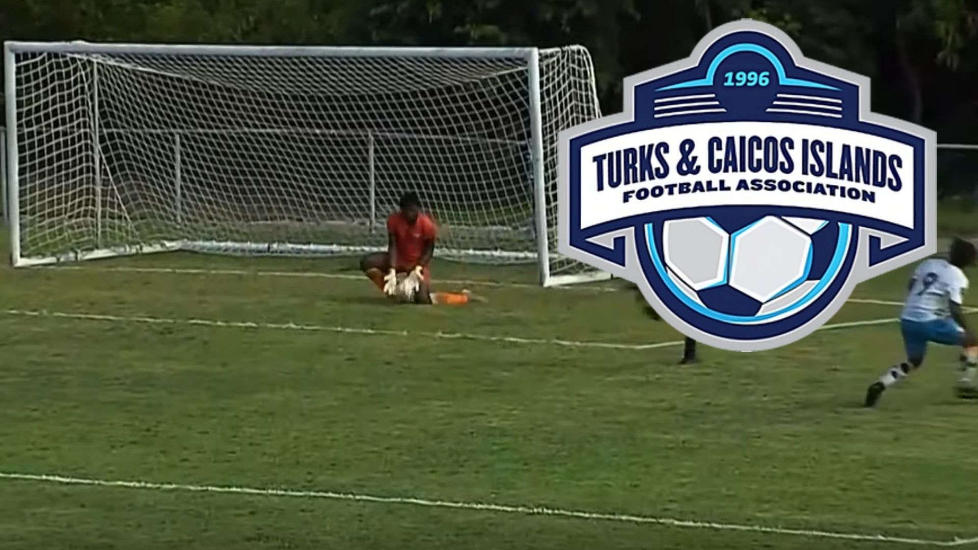 Harvey Turks and Caicos