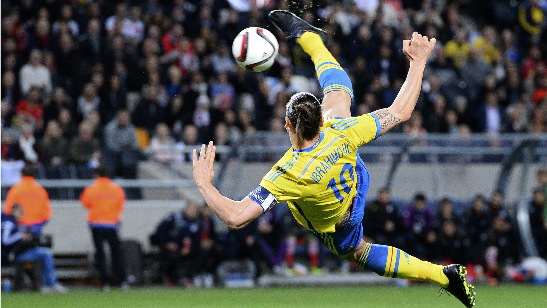 Zlatan Ibrahimovic Sweden