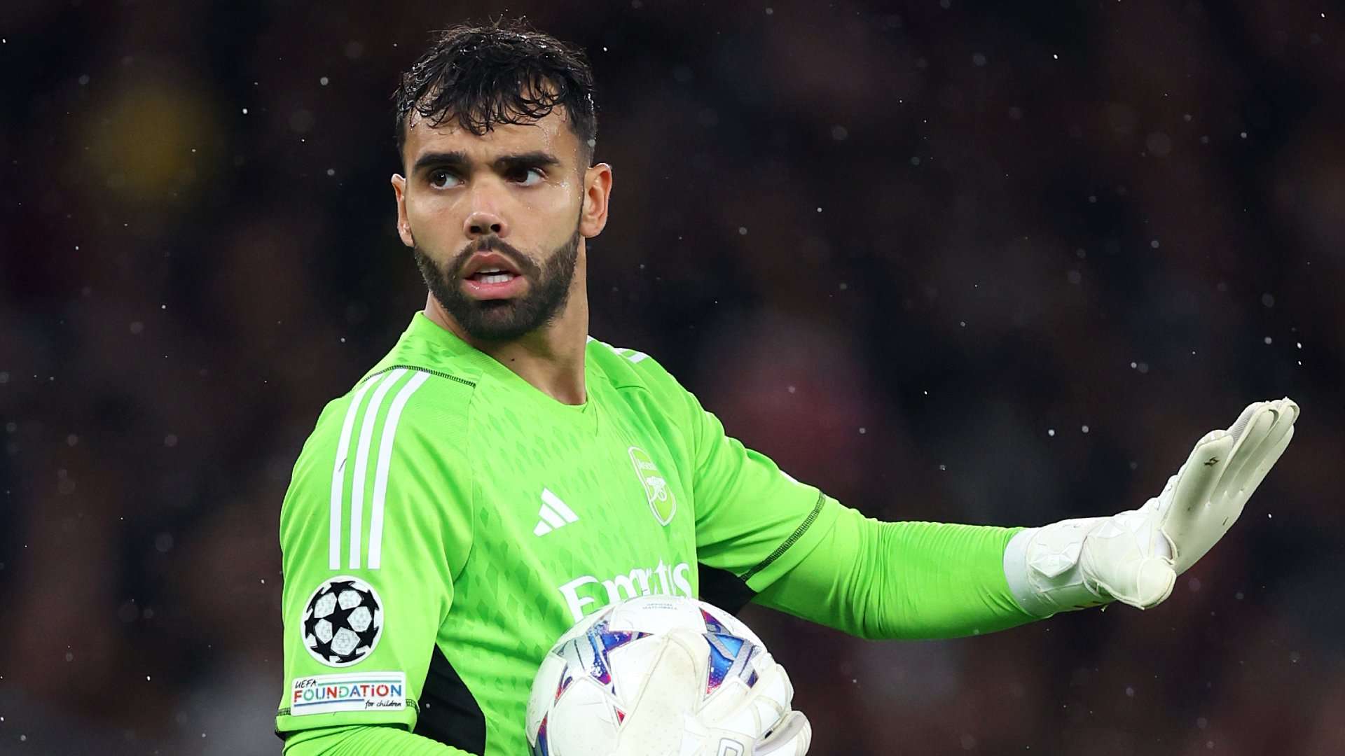 David Raya Arsenal 2023-24