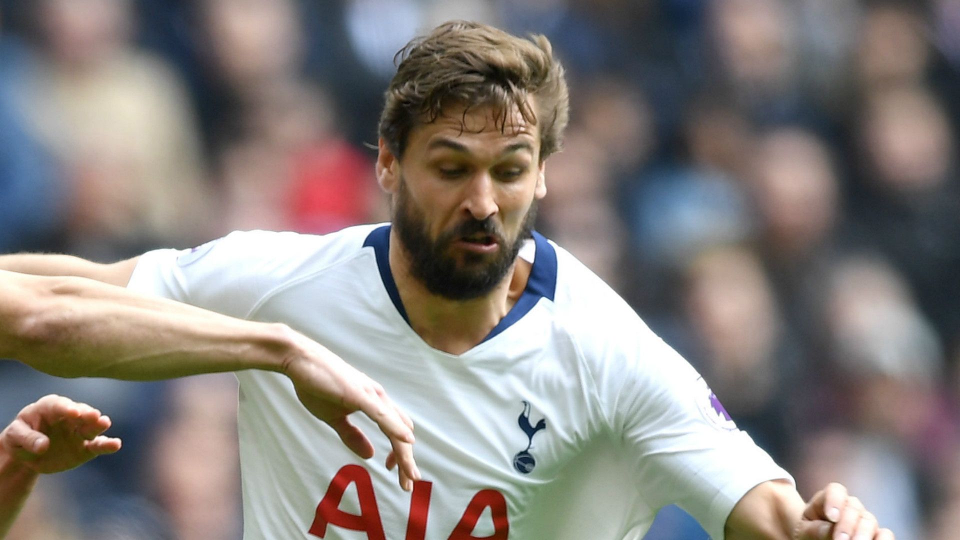 Fernando Llorente Tottenham 2018-19