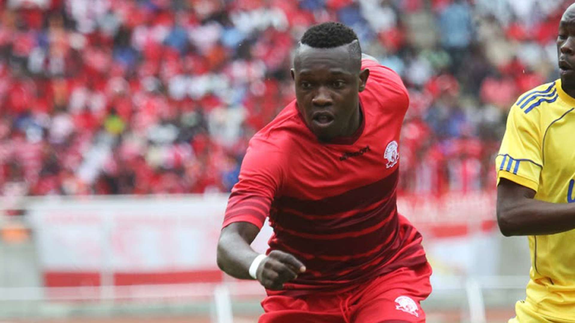 y2xywj5benqn16zpgroj7jy1x