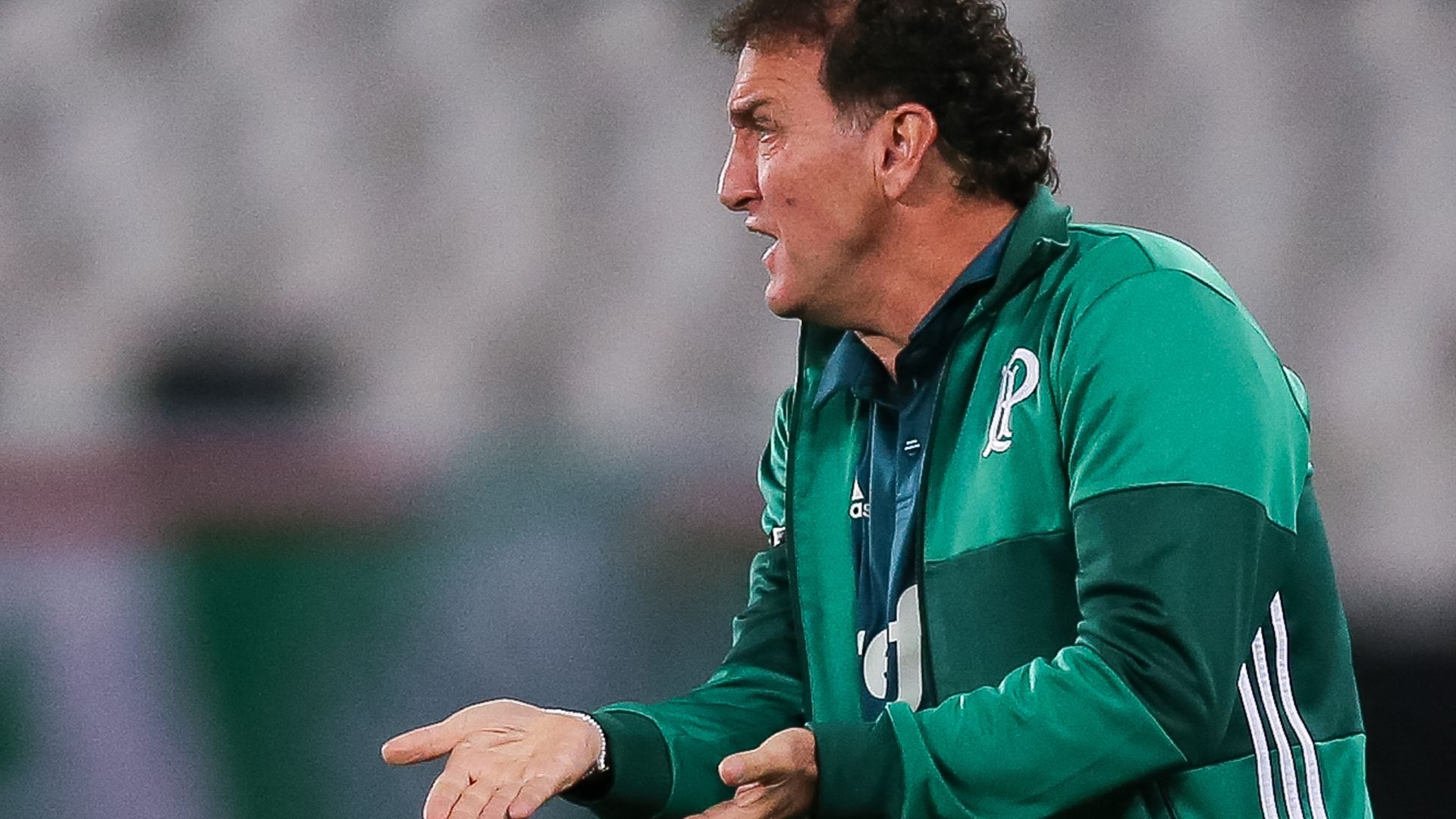 Cuca Botafogo Palmeiras Brasileirao Serie A 02082017