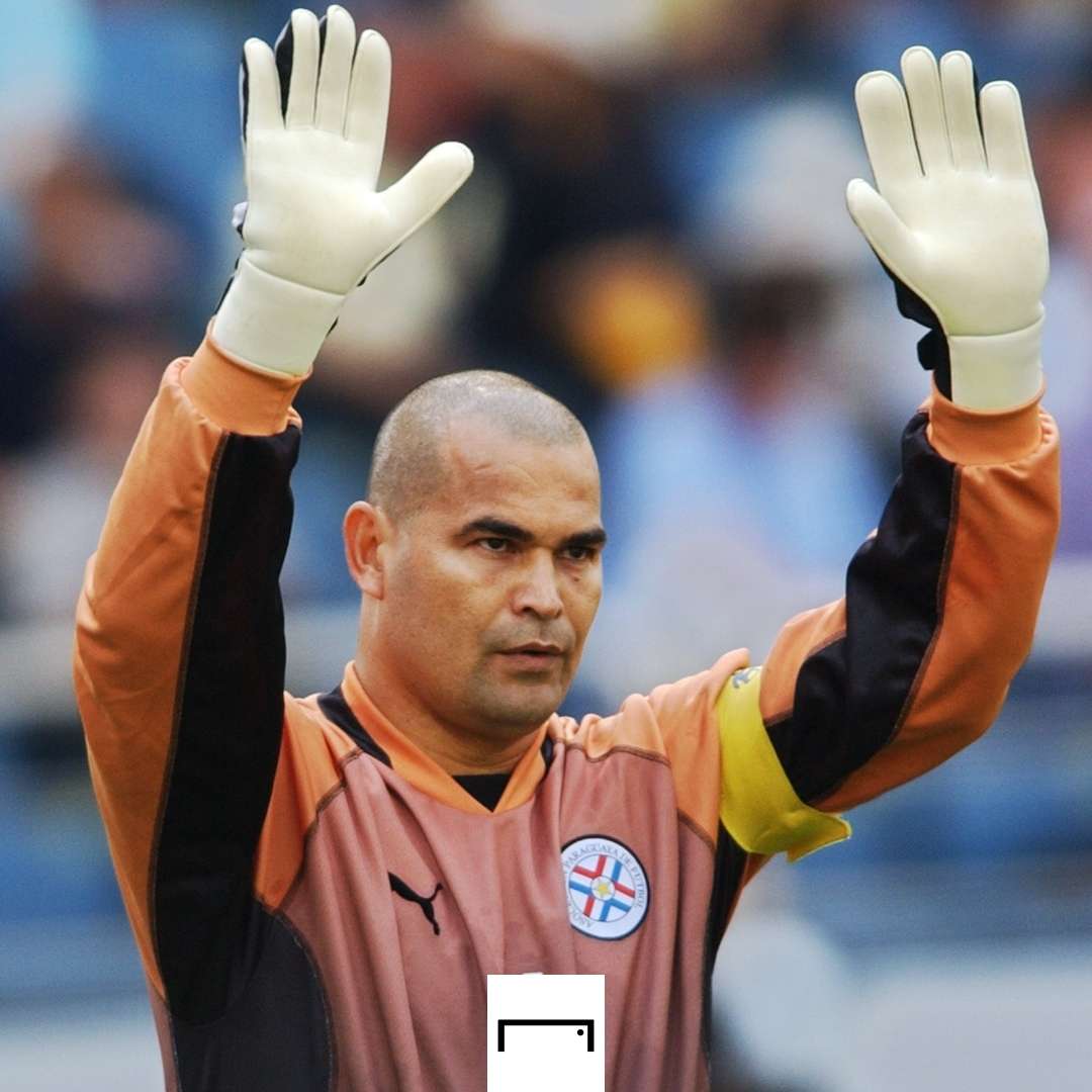 Jose Luis Chilavert 2002 World Cup GFX