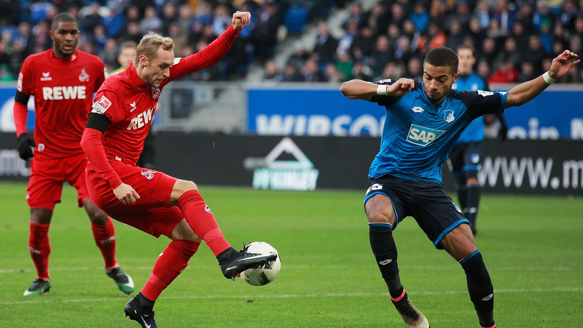 Marcel Risse 1. FC Köln 1899 Hoffenheim Bundesliga 03122016