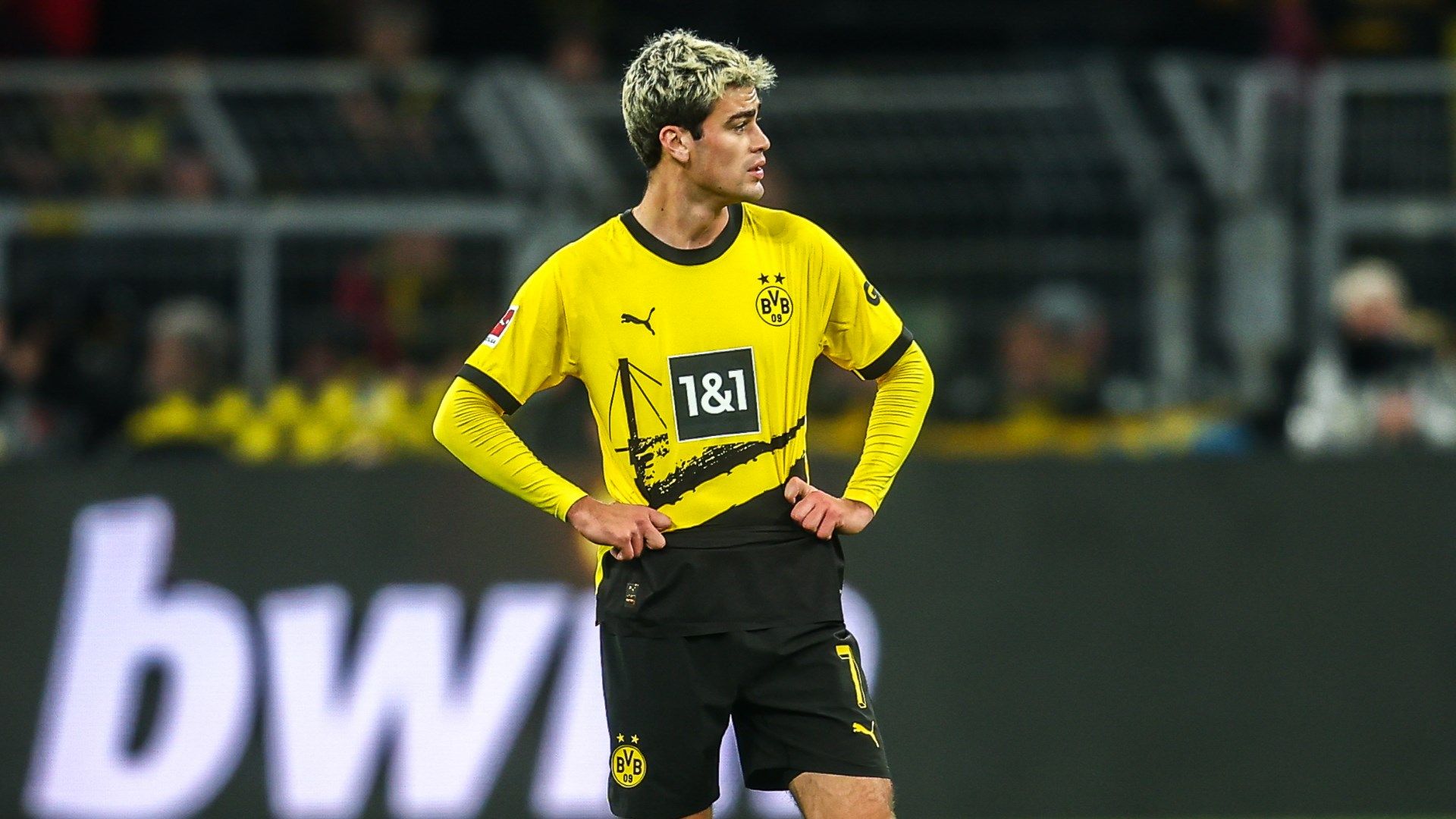 Gio Reyna Dortmund 2023