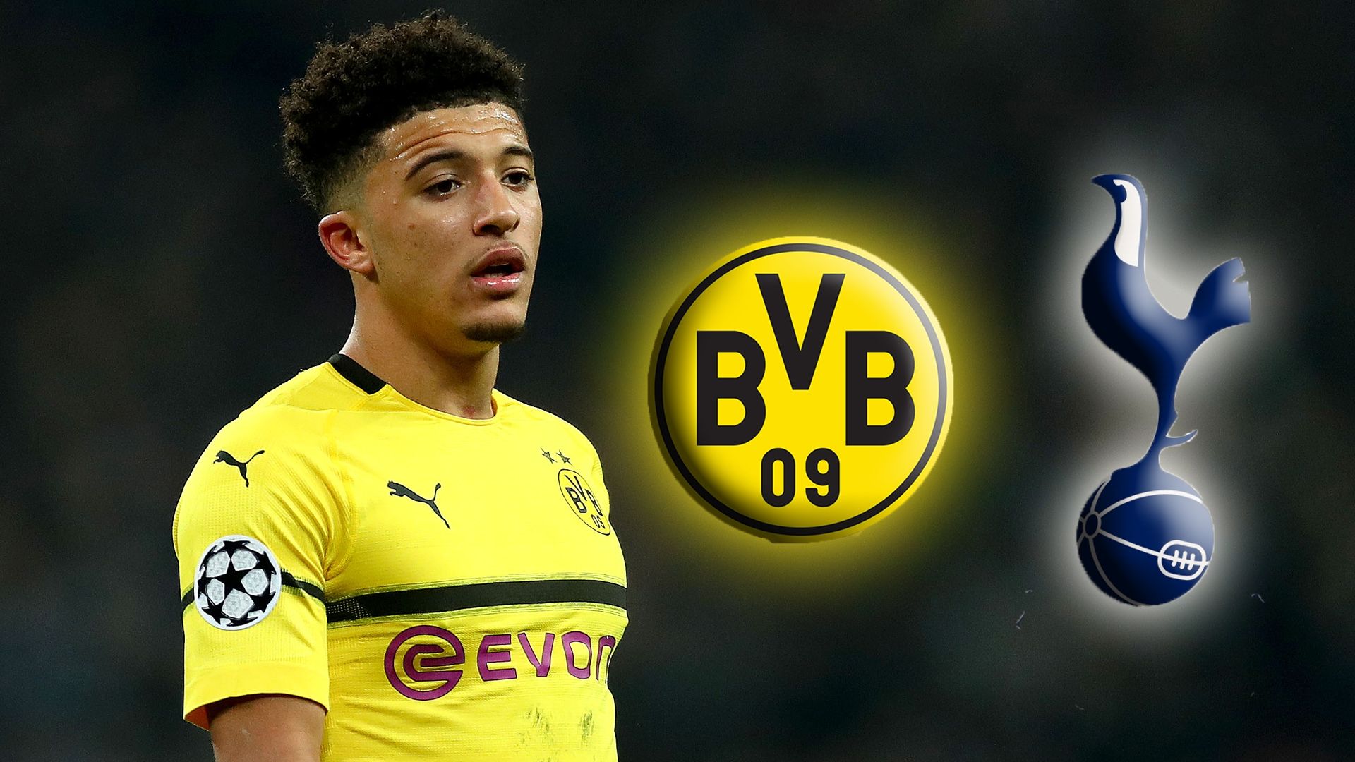 BVB TOTTENHAM TV LIVE STREAM GFX