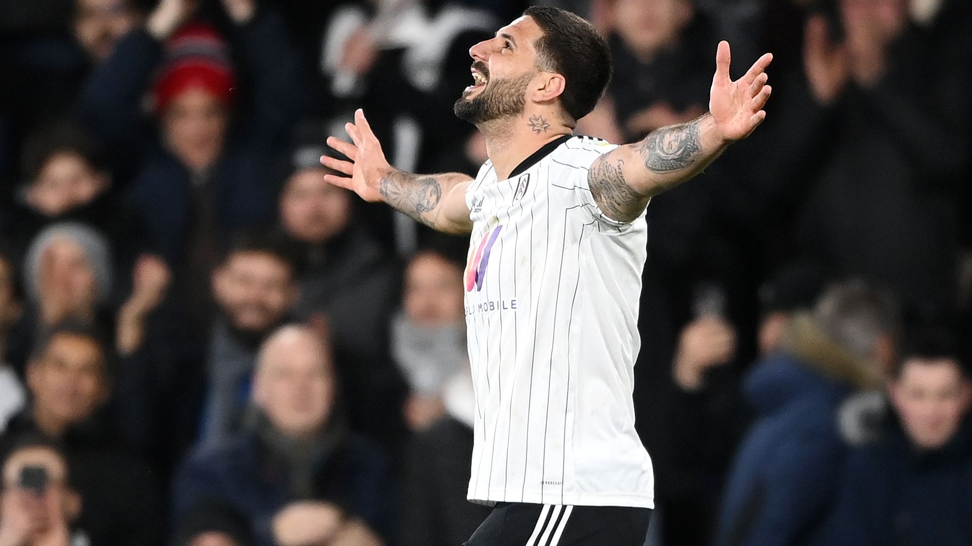 Aleksandar Mitrovic Fulham 2021-22