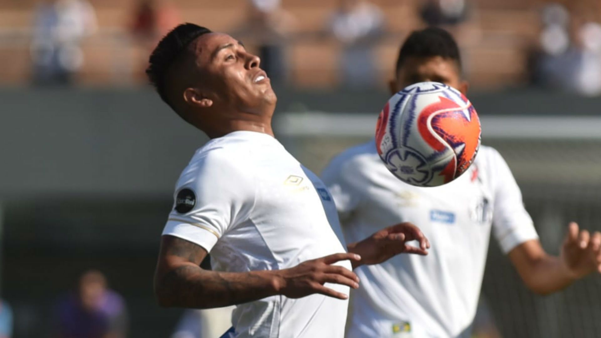 Cueva Santos Mirassol Paulista 09 02 2019