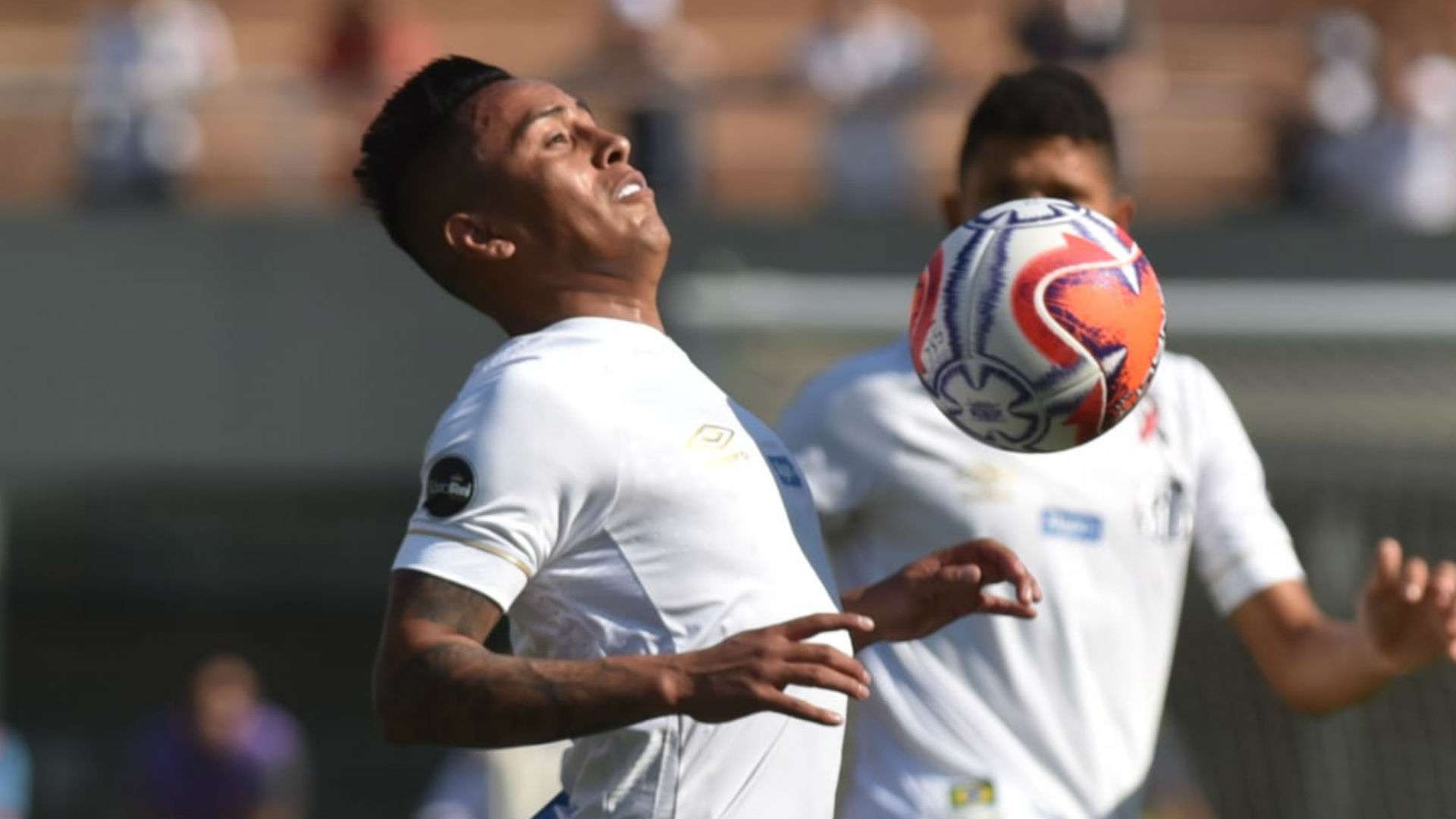 Cueva Santos Mirassol Paulista 09 02 2019