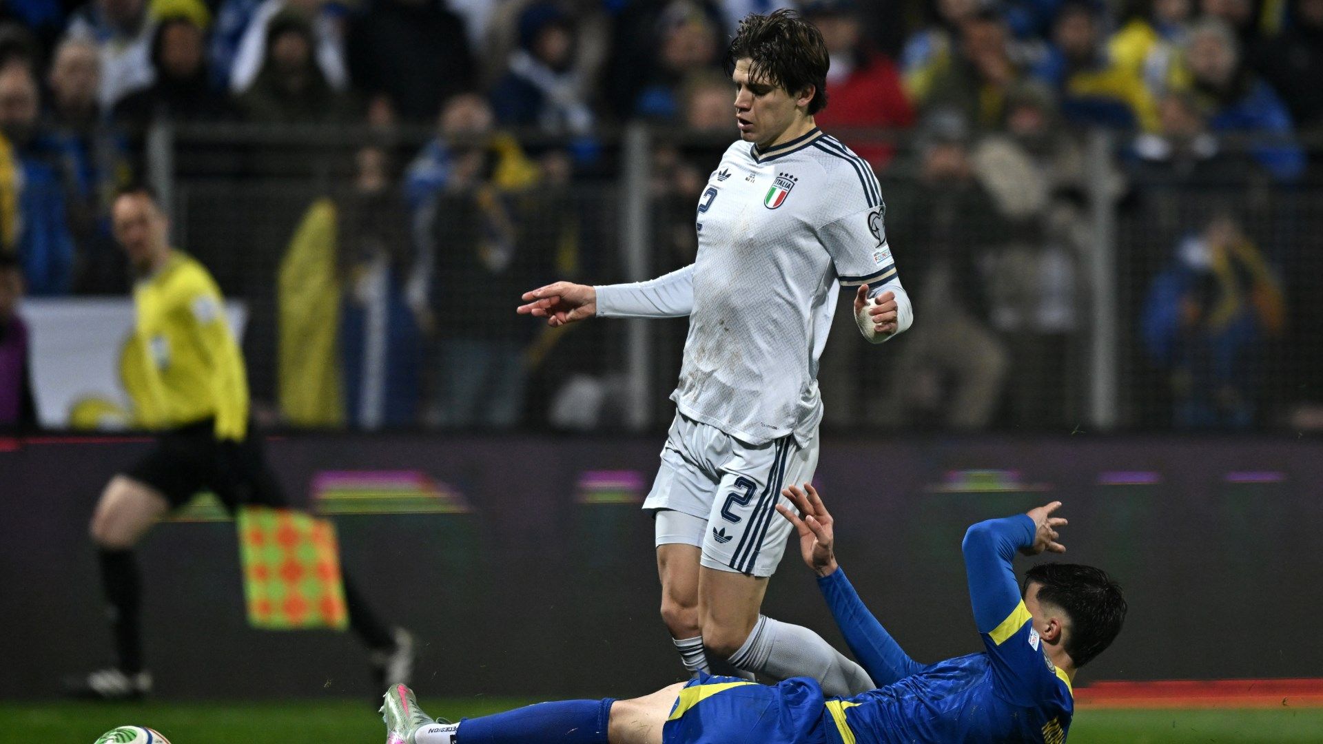 Palestra Muharemovic