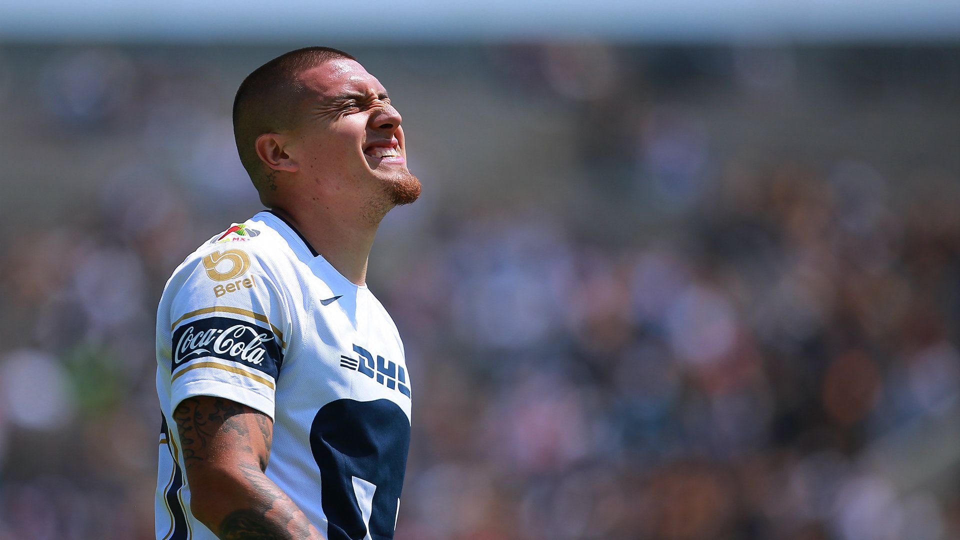 Nico Castillo Liga MX Clausura 2018