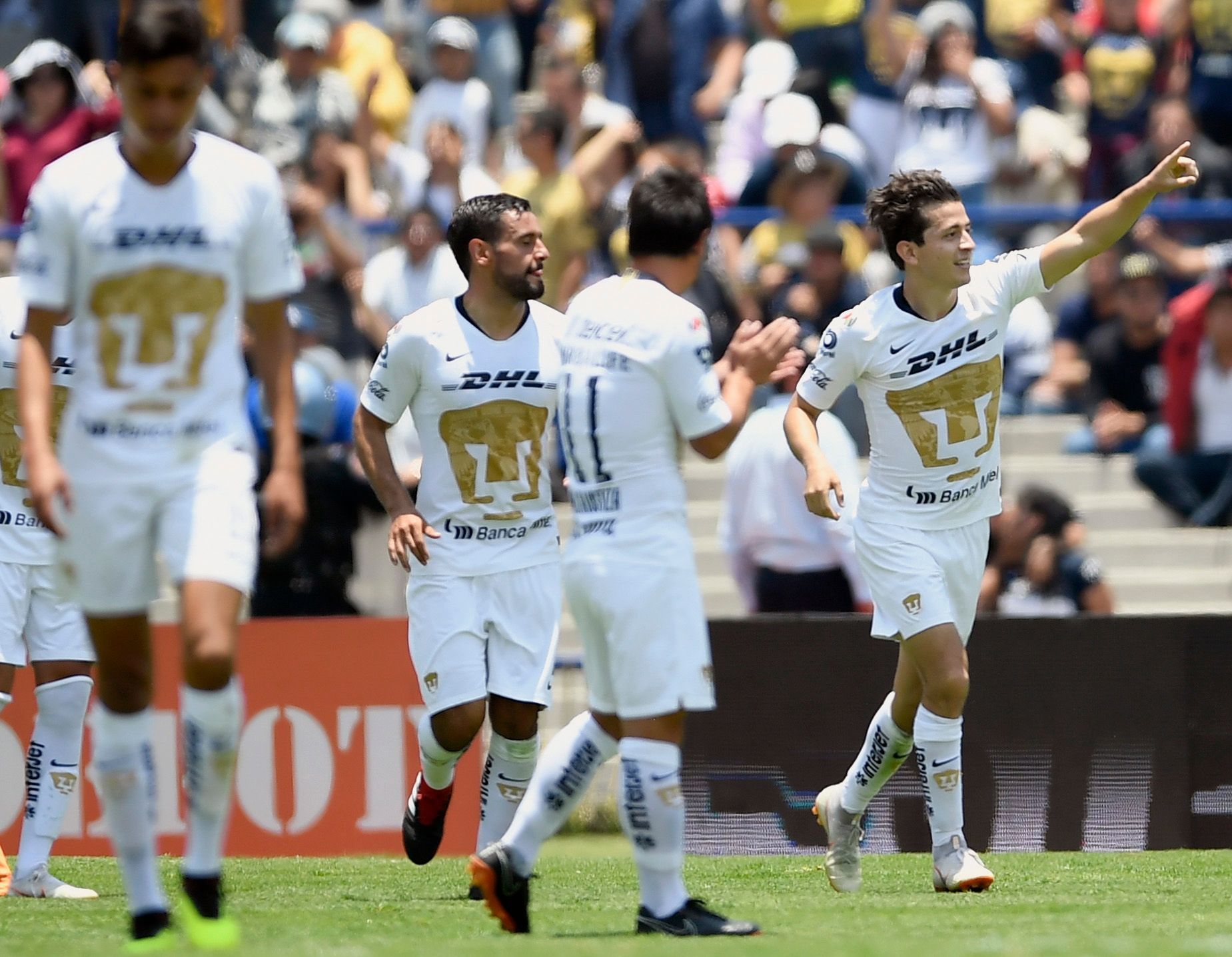 Pumas vs Necaxa Liga MX Apertura 2018