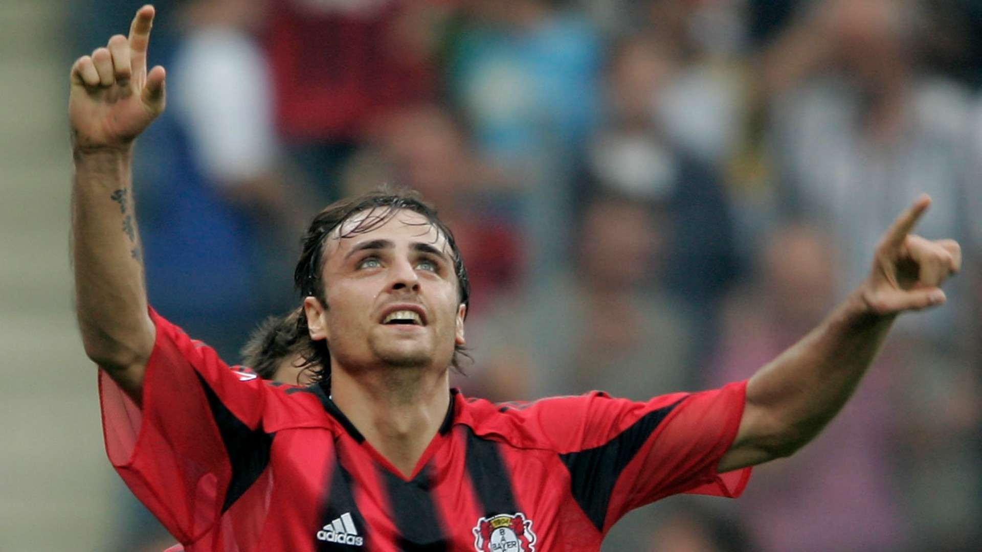 DIMITAR BERBATOV BAYER LEVERKUSEN