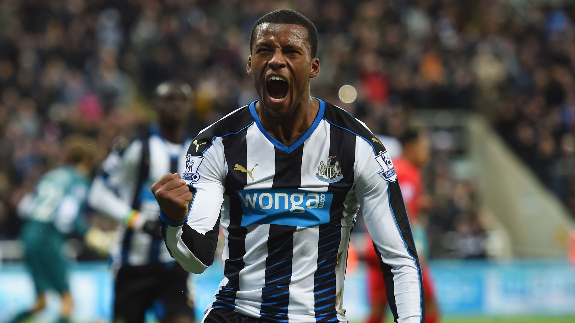Georginio Wijnaldum Newcastle United 06122015