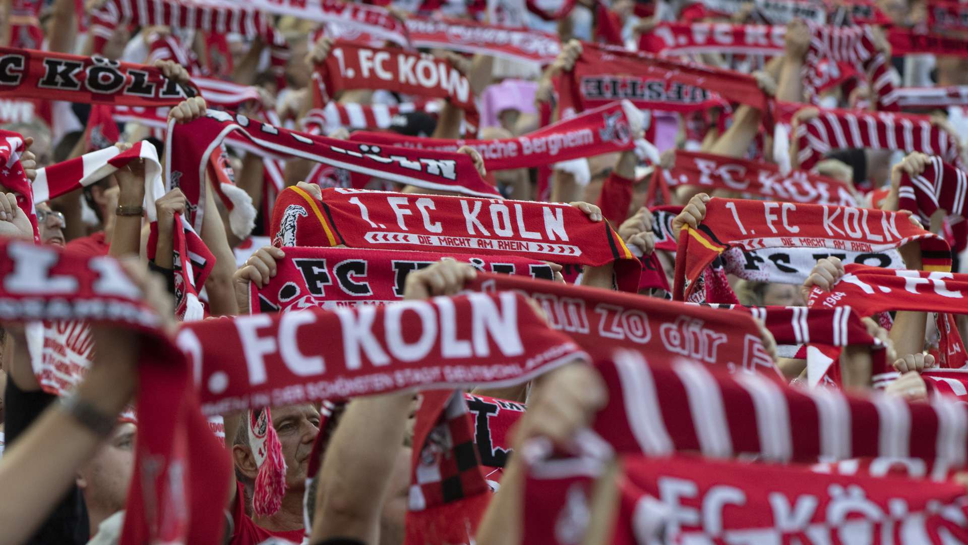 1. FC Köln Fans 0818