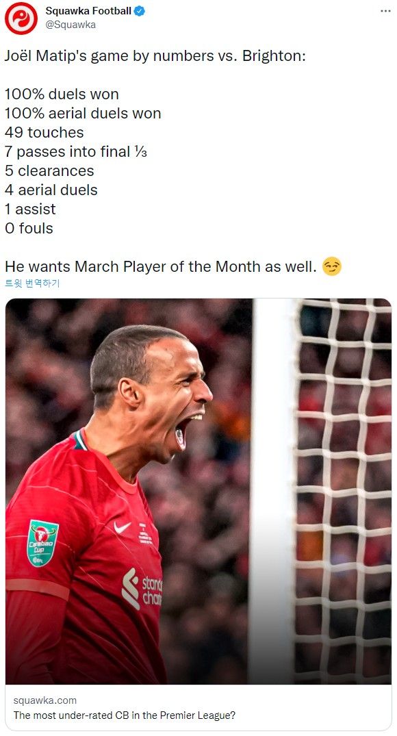 마팁 스탯 vs 브라이튼