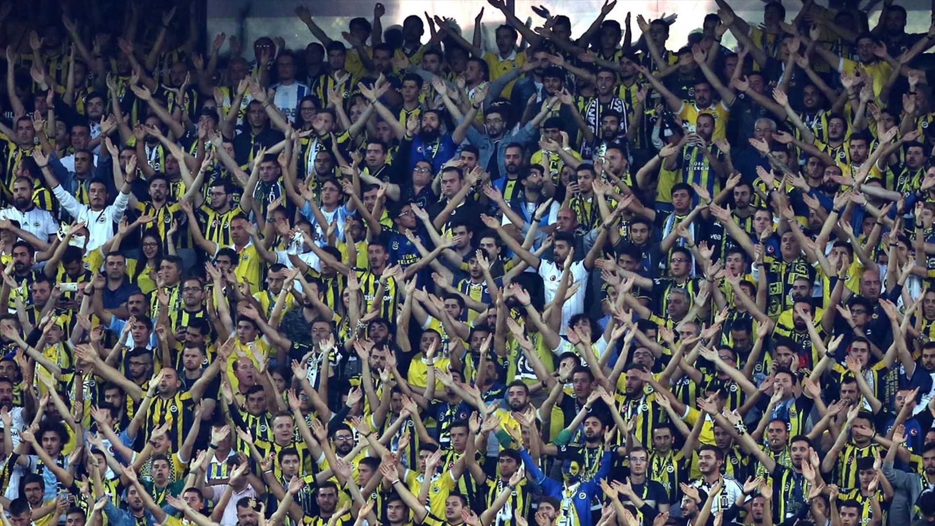 Fenerbahce fans