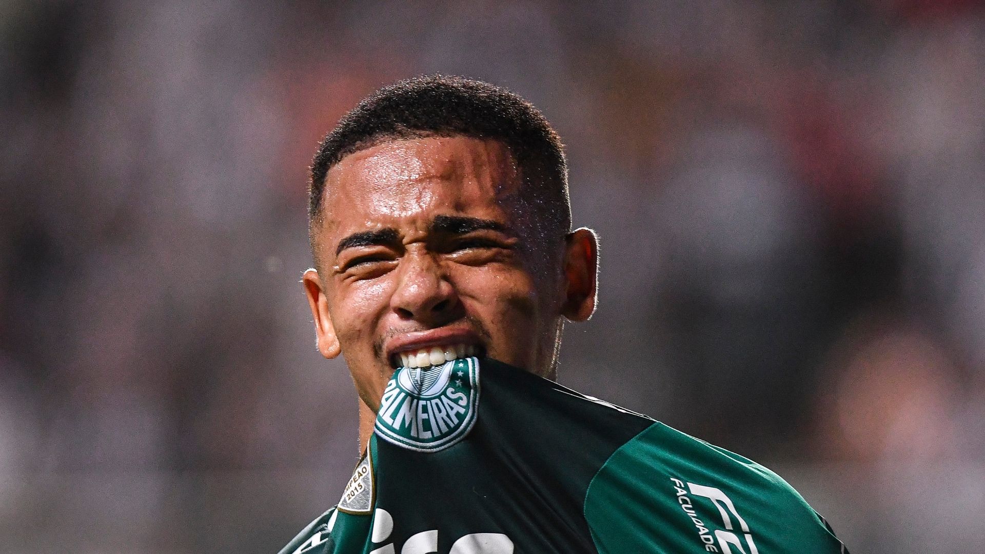 Gabriel Jesus Atlético-MG Palmeiras Brasileirão 17112016