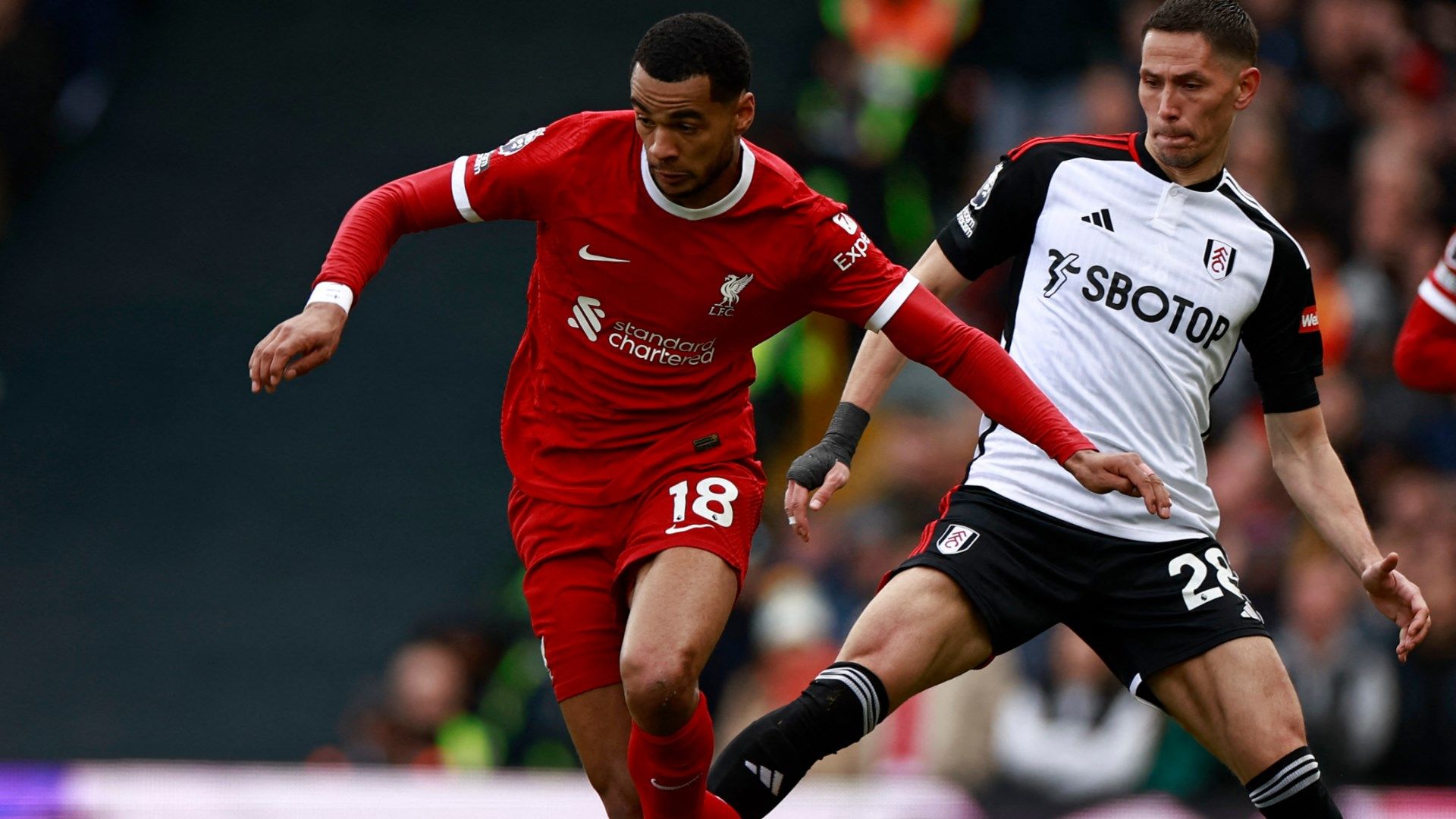 Cody Gakpo Liverpool 2023-24