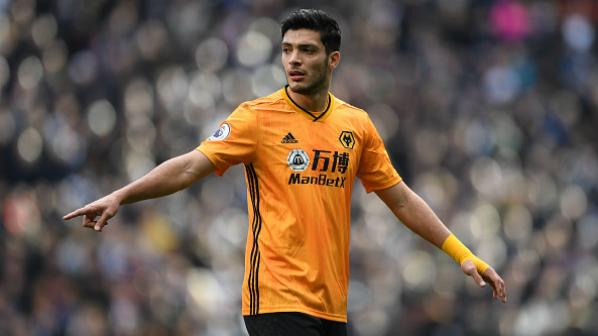 Raúl Jiménez Wolves