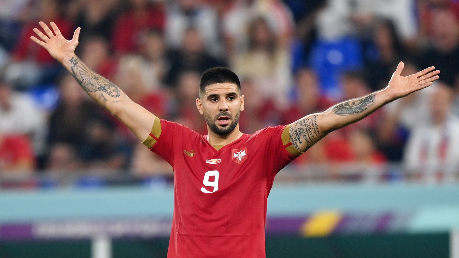 20221202_ Aleksandar Mitrovic_Serbia