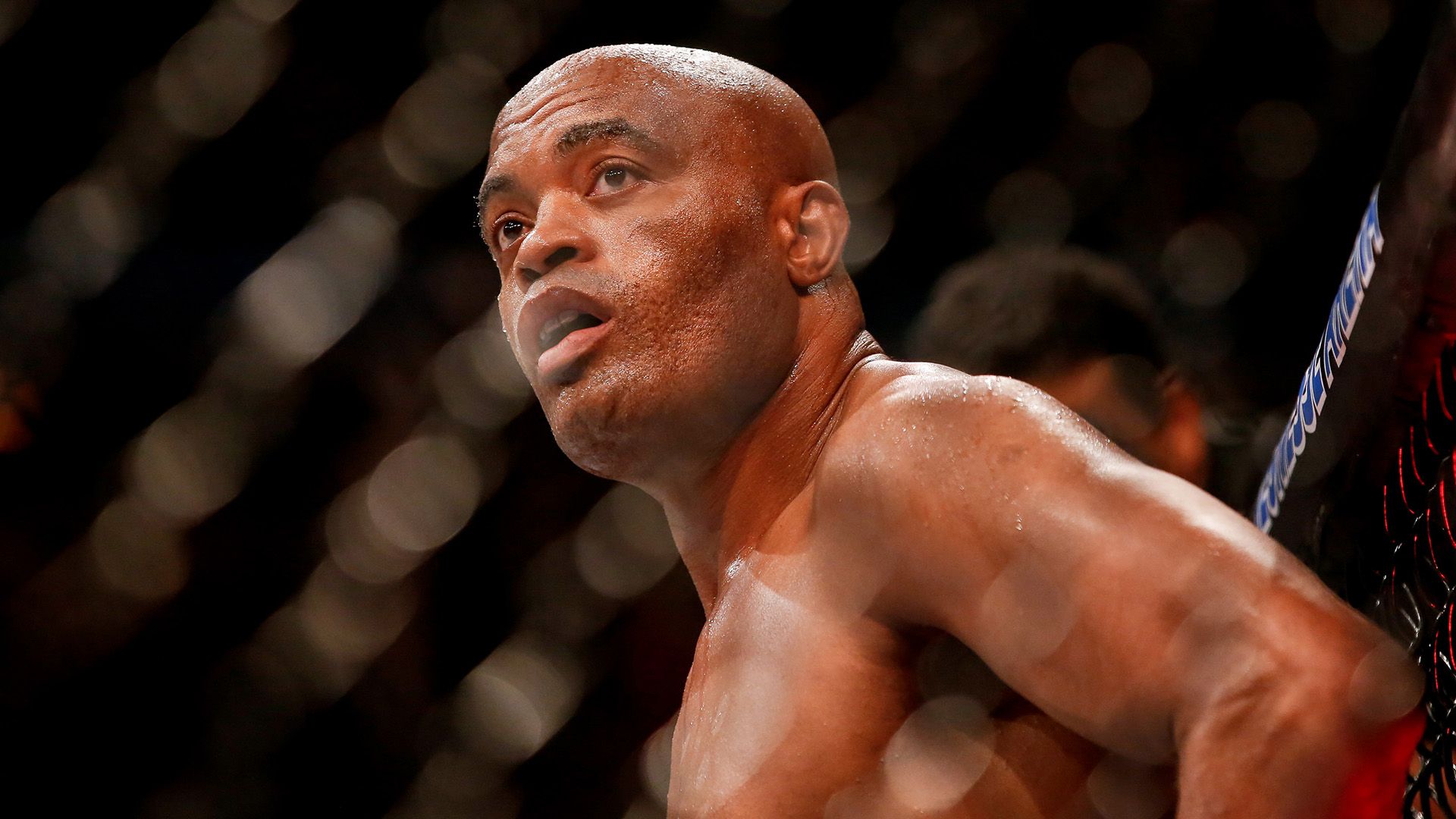 Anderson Silva