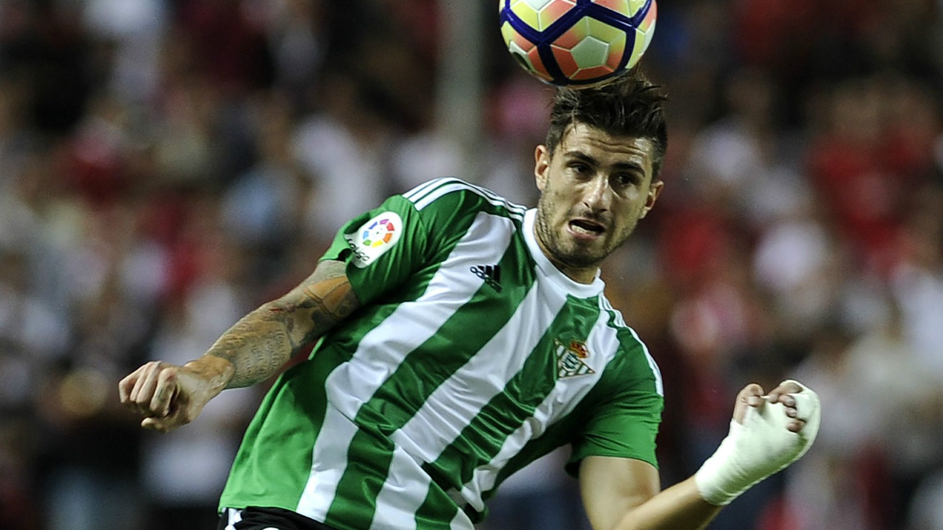 Piccini Betis