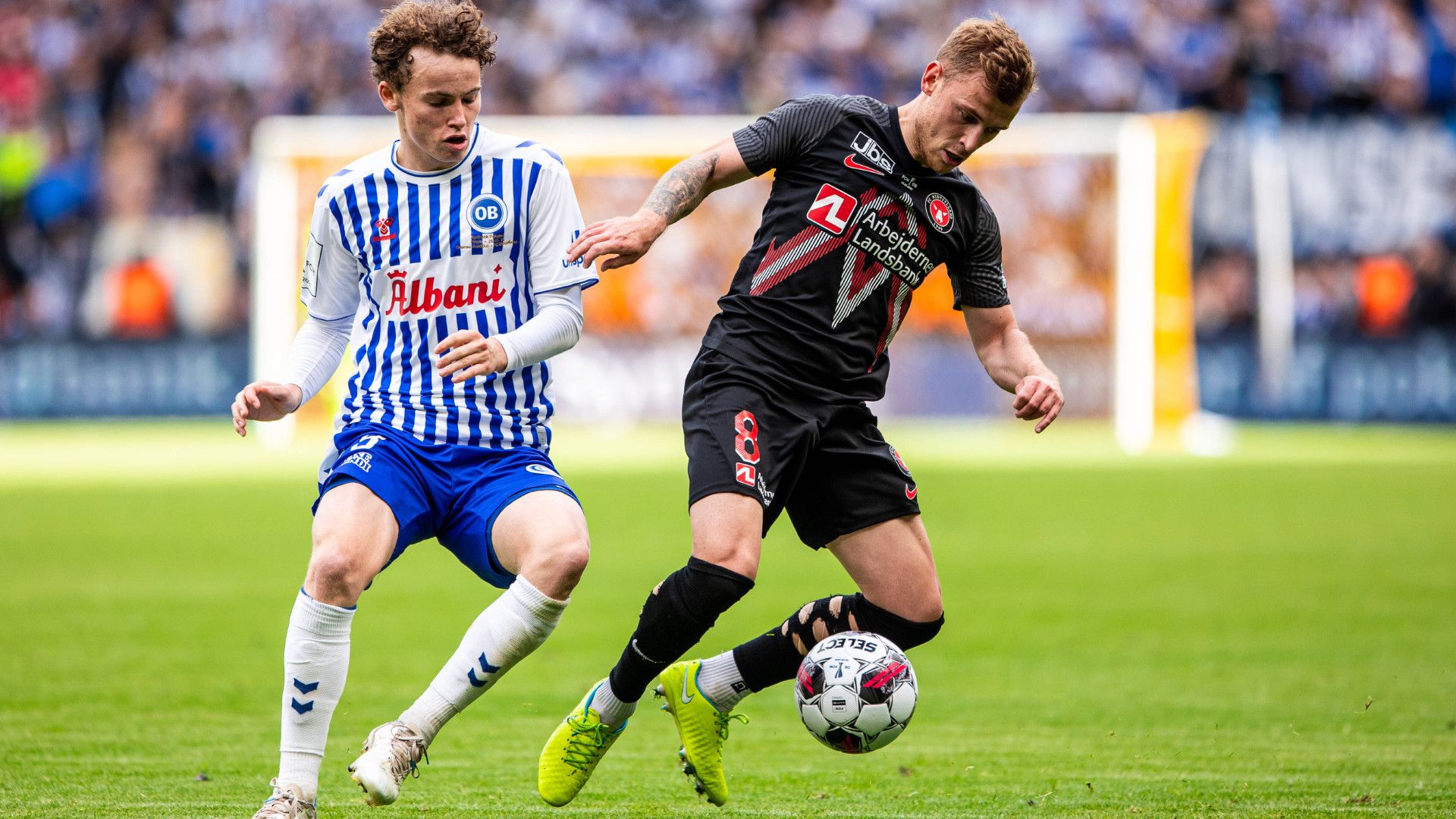 GERMANY ONLY: MAX MEYER MIDTJYLLAND