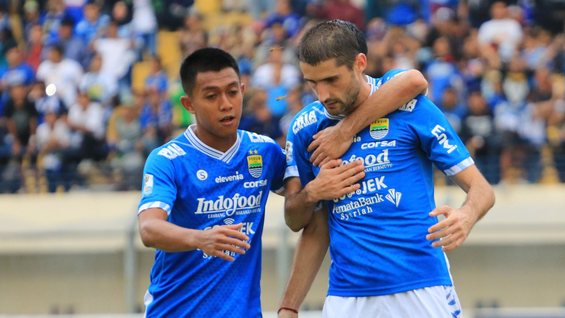 Febri Hariyadi - Srdan Lopicic Persib Bandung - Persiwa Wamena 11022019