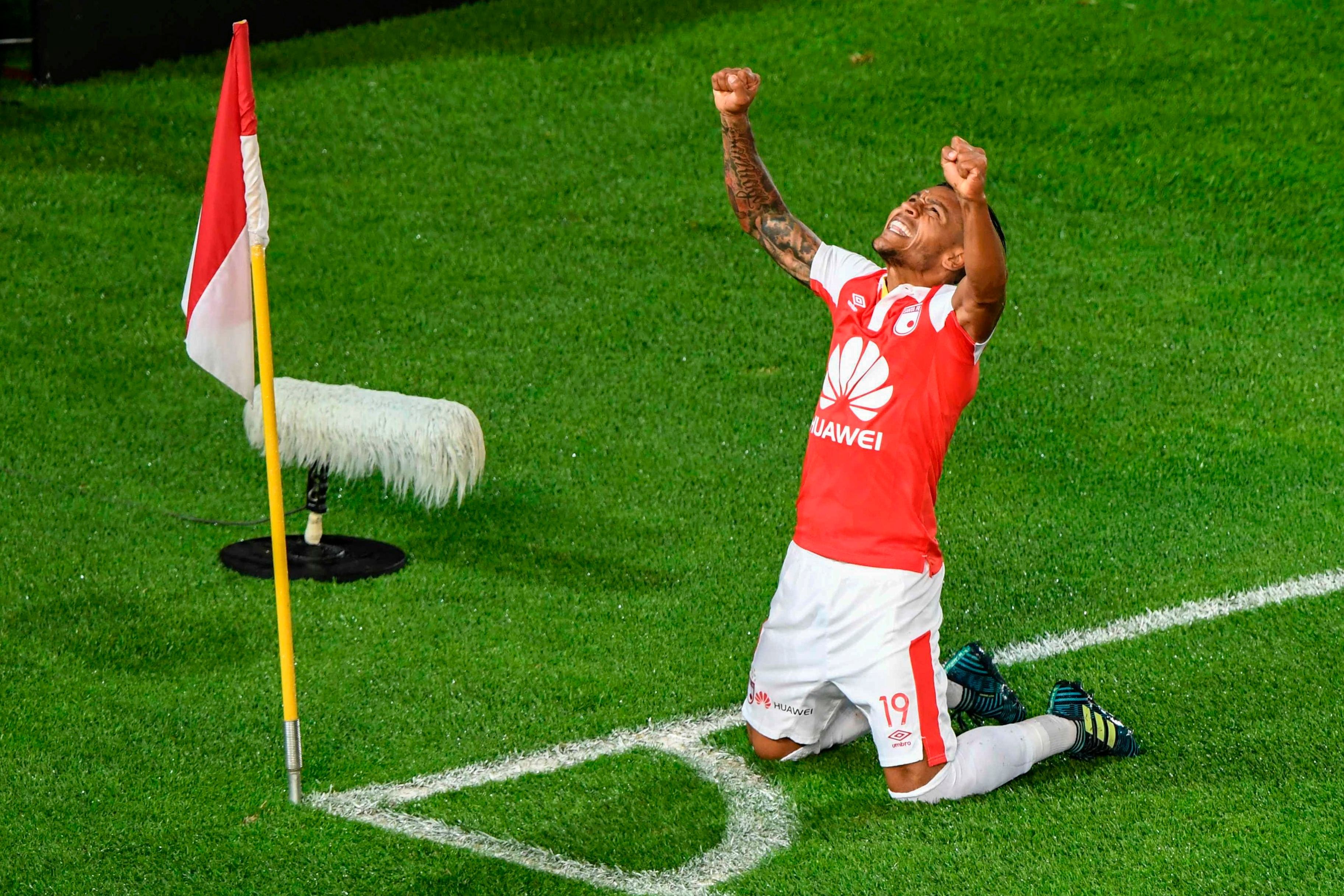 Wilson Morelo Independiente Santa Fe Copa Libertadores