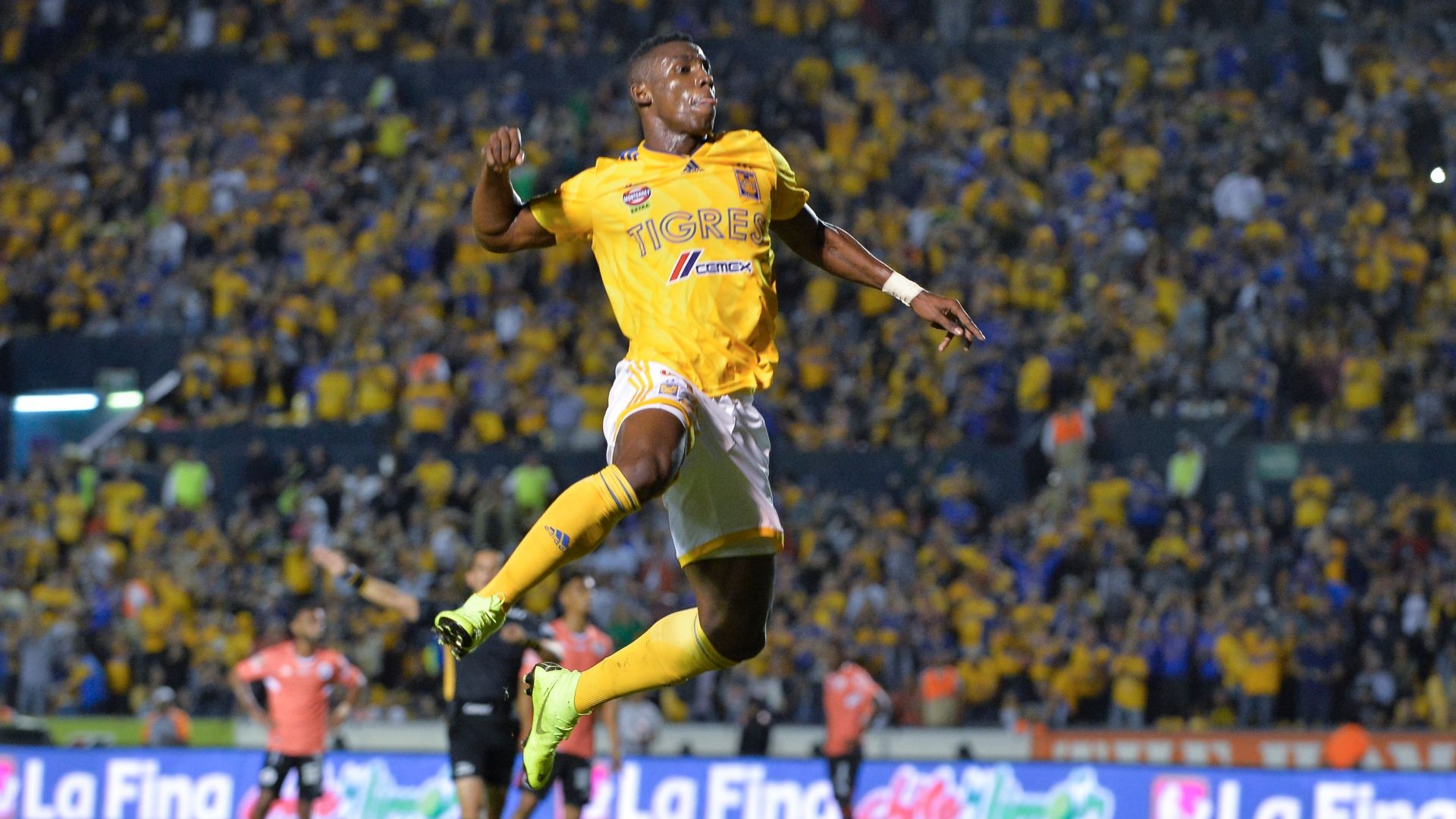 Julian Quinones Tigres