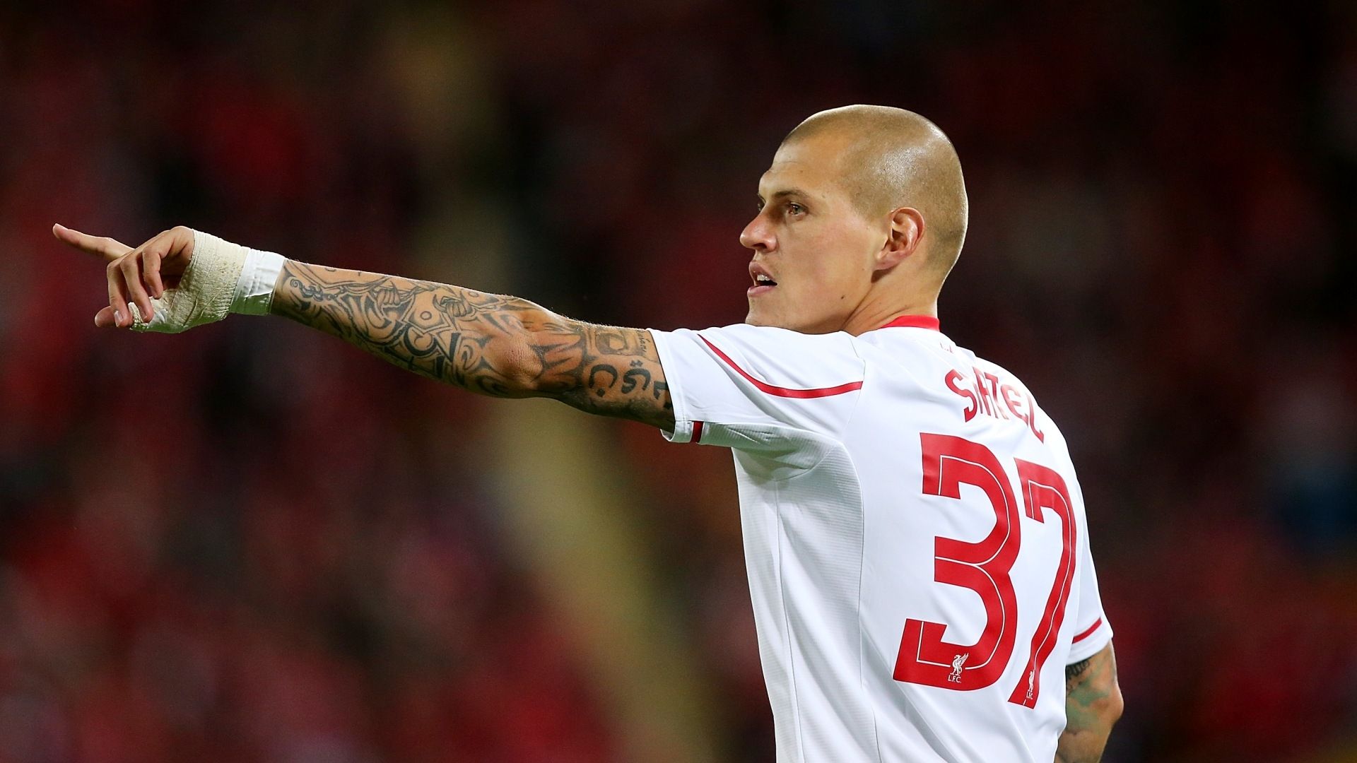 Martin Skrtel