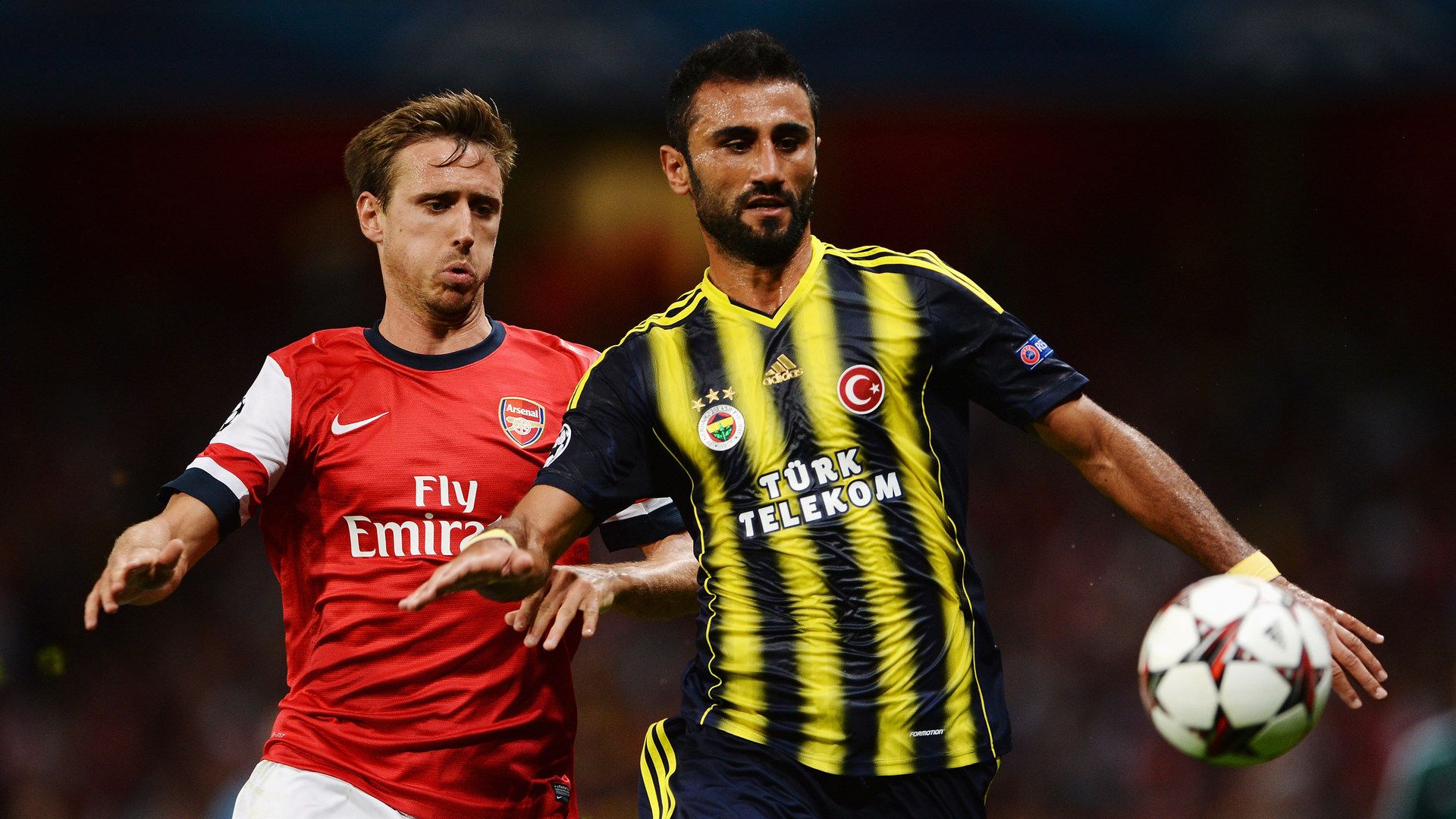Selcuk Sahin, Fenerbahce