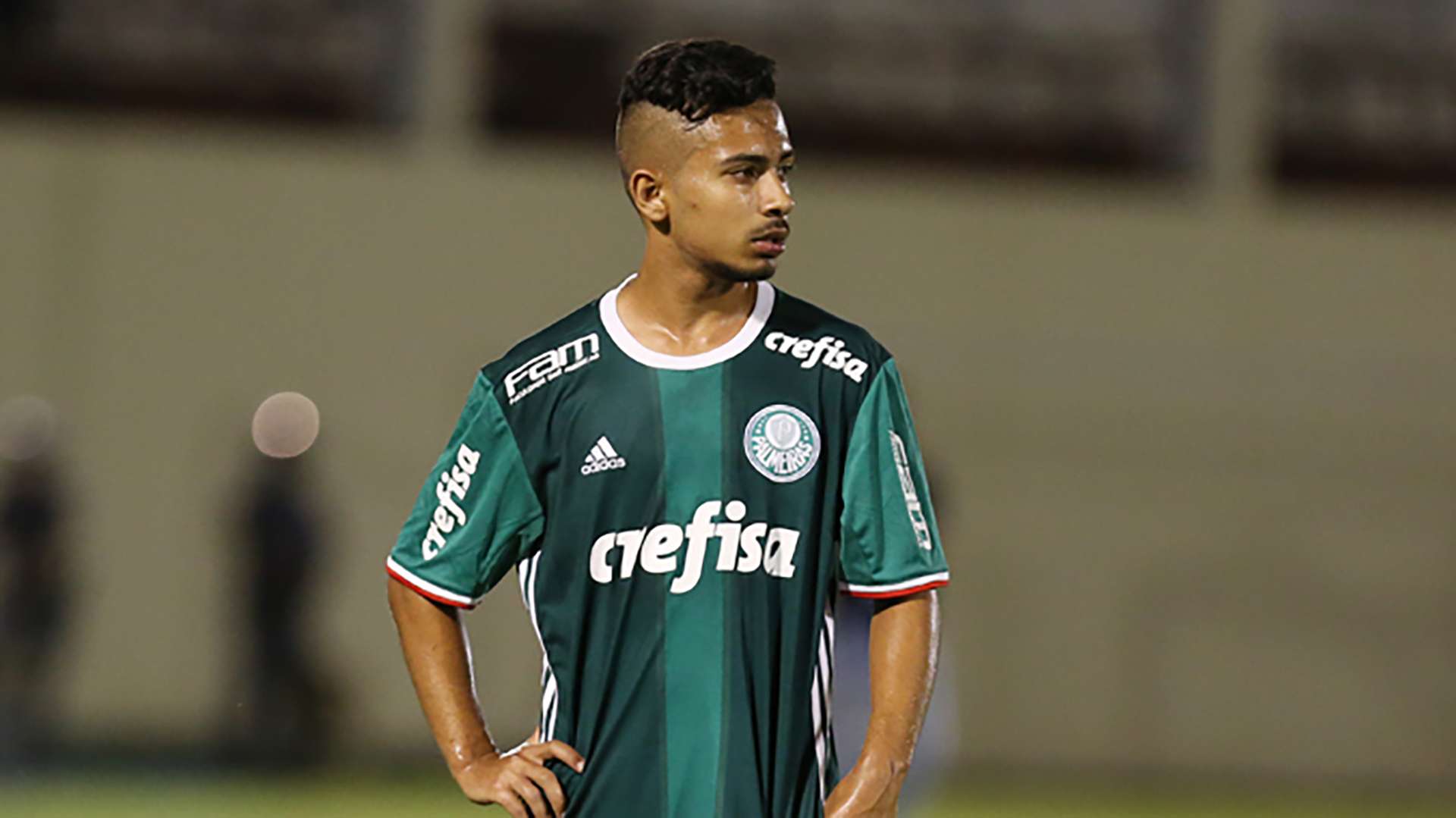 Alan Guimaraes Palmeiras 2017