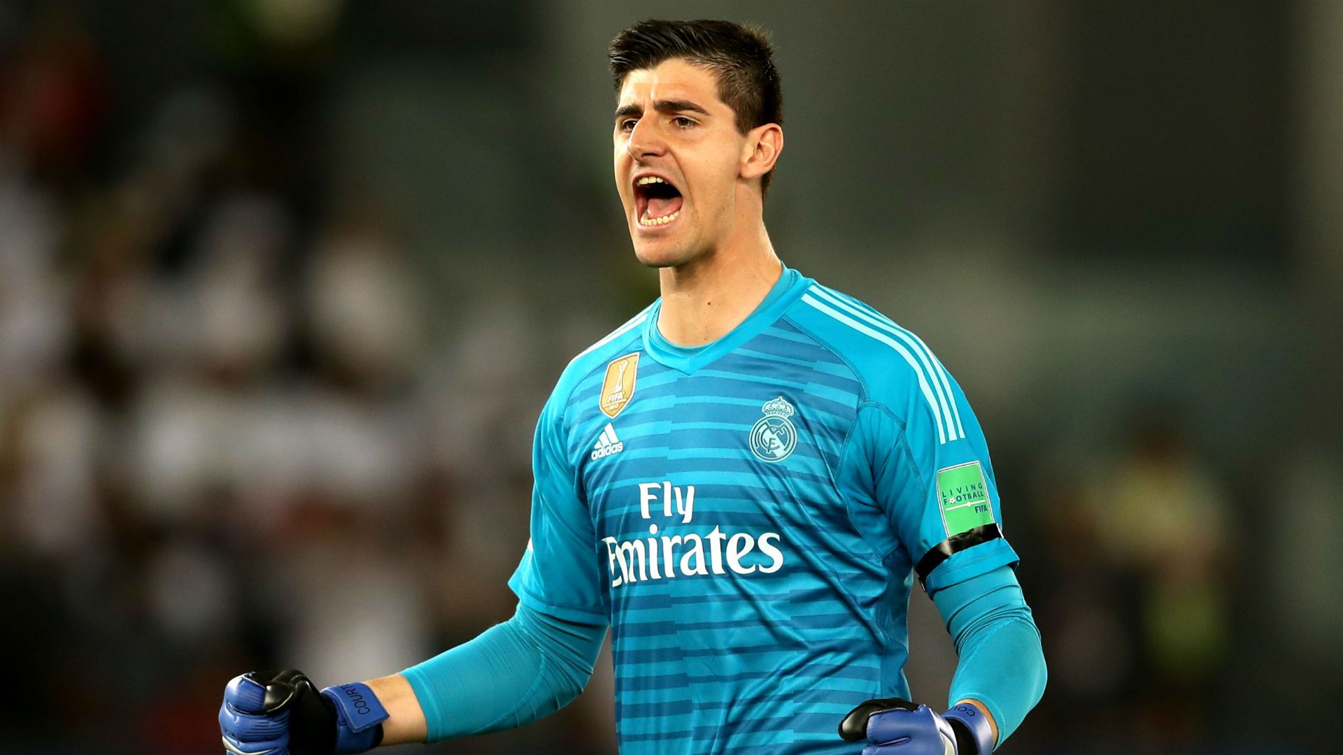 Thibaut Courtois Real Madrid 2018-19