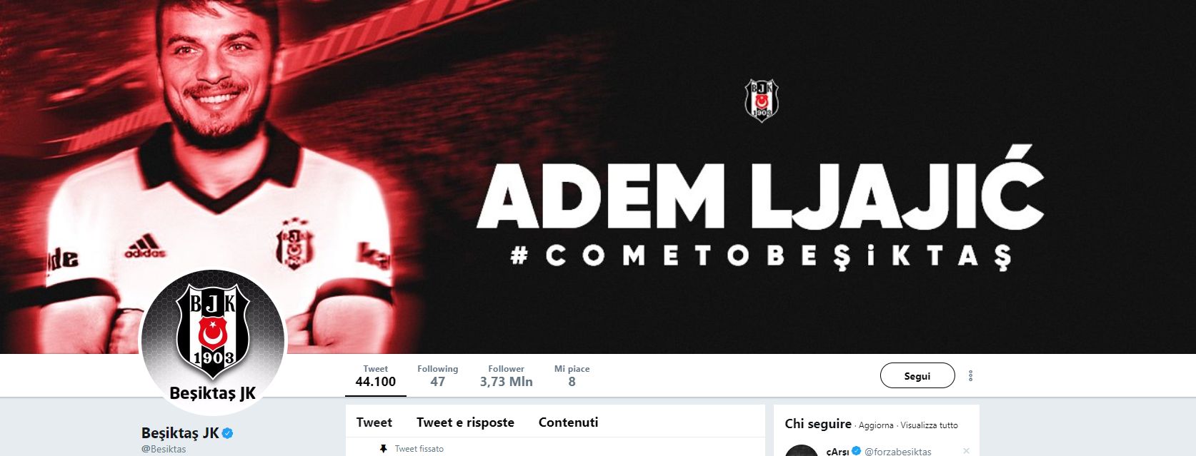 Ljajic Besiktas