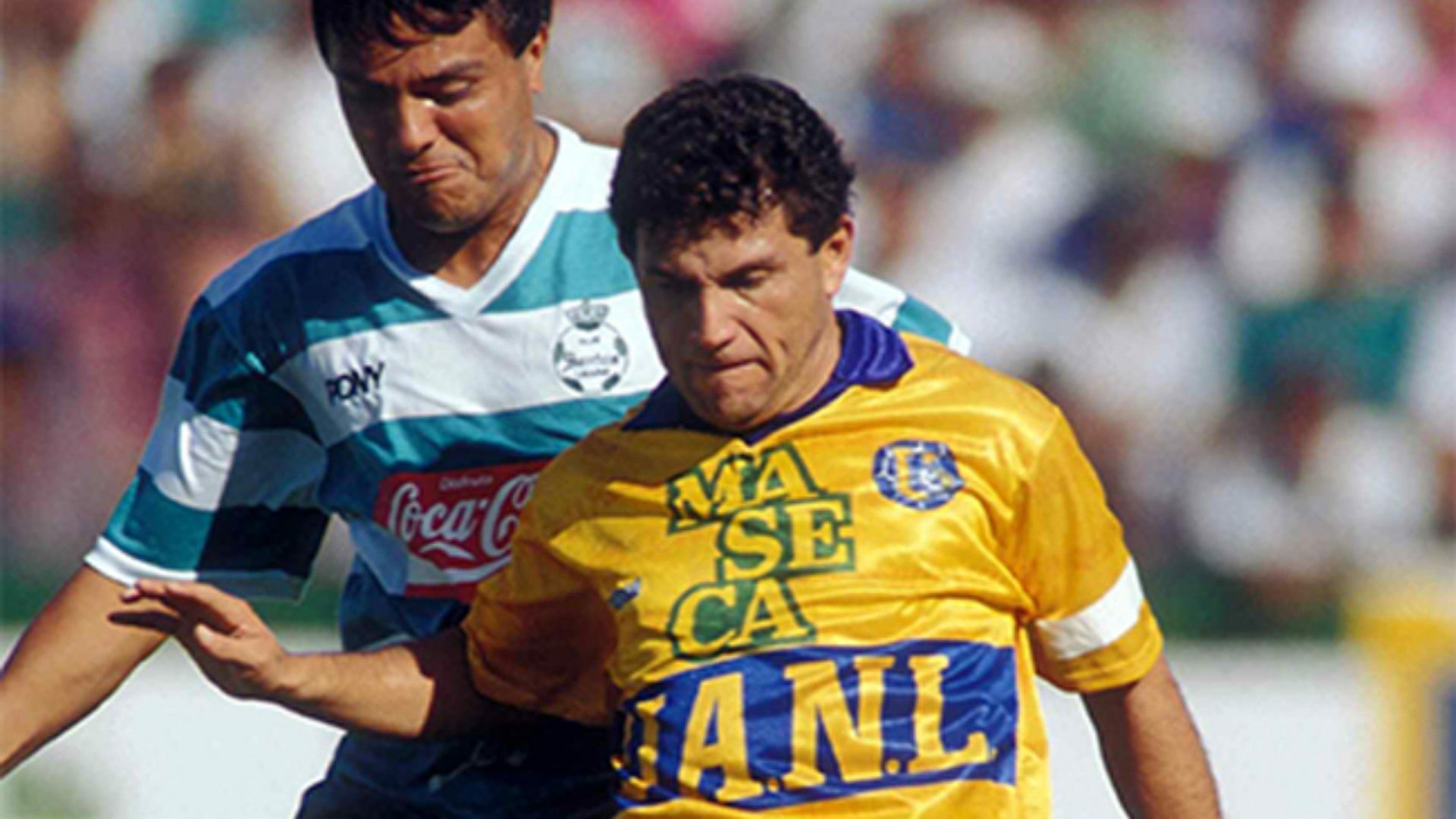 Francisco Javier Cruz Tigres