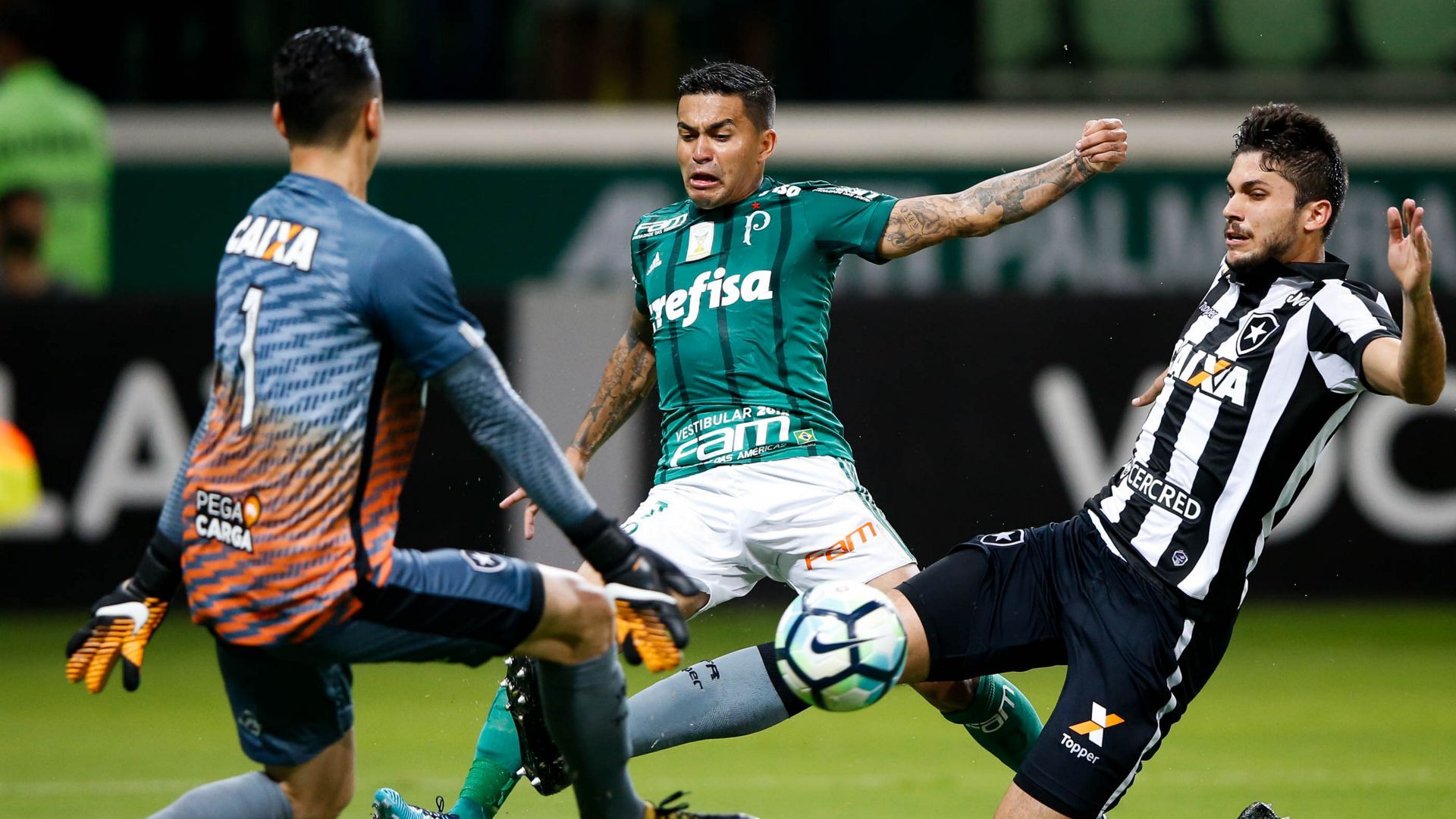 Igor Rabello Dudu Gatito Fernandez Palmeiras Botafogo Brasileirao Serie A 27112017