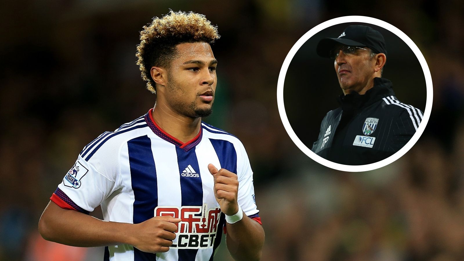 GFX Serge Gnabry West Brom Tony Pulis
