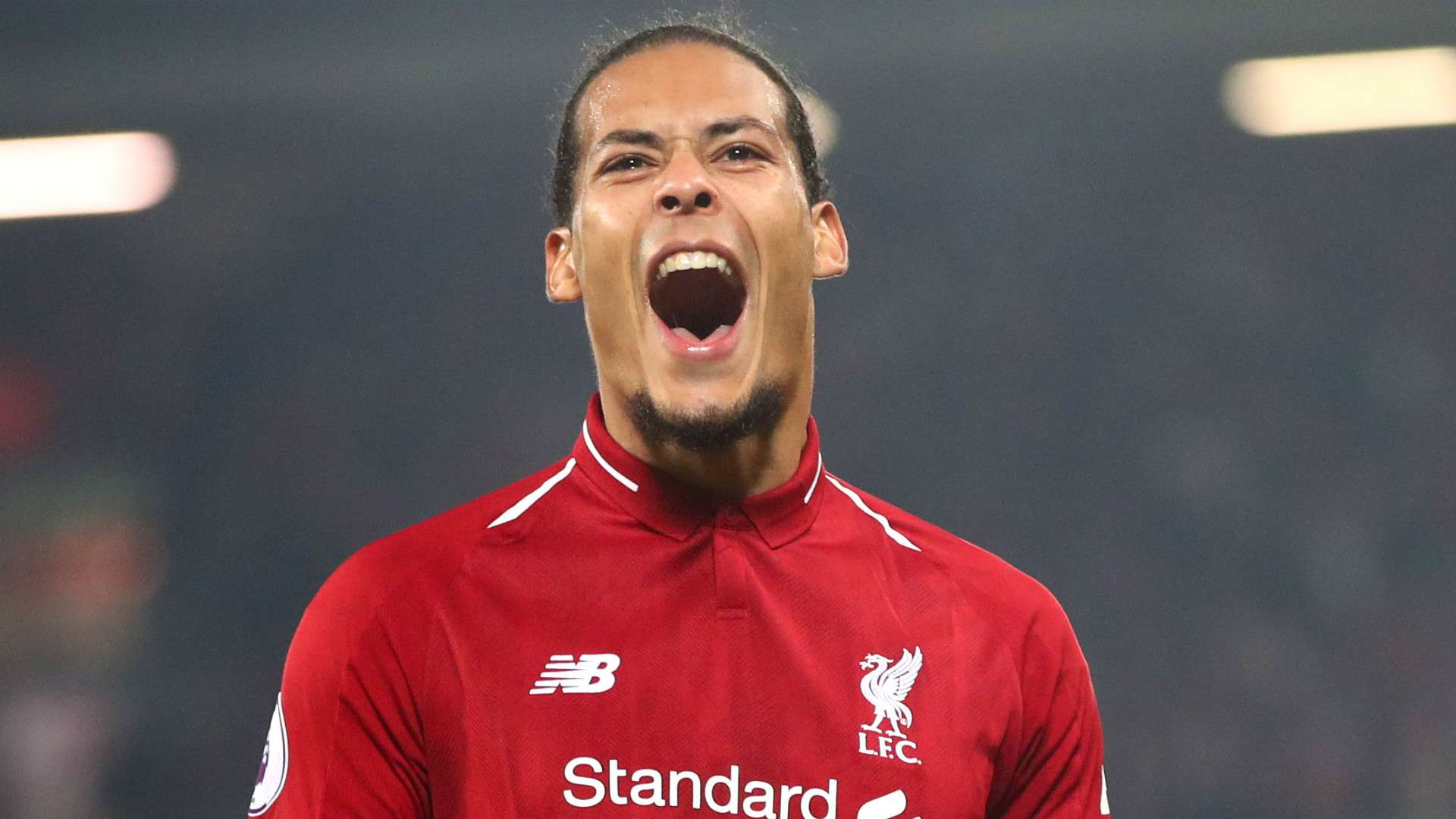 Virgil van Dijk Liverpool 2018-19