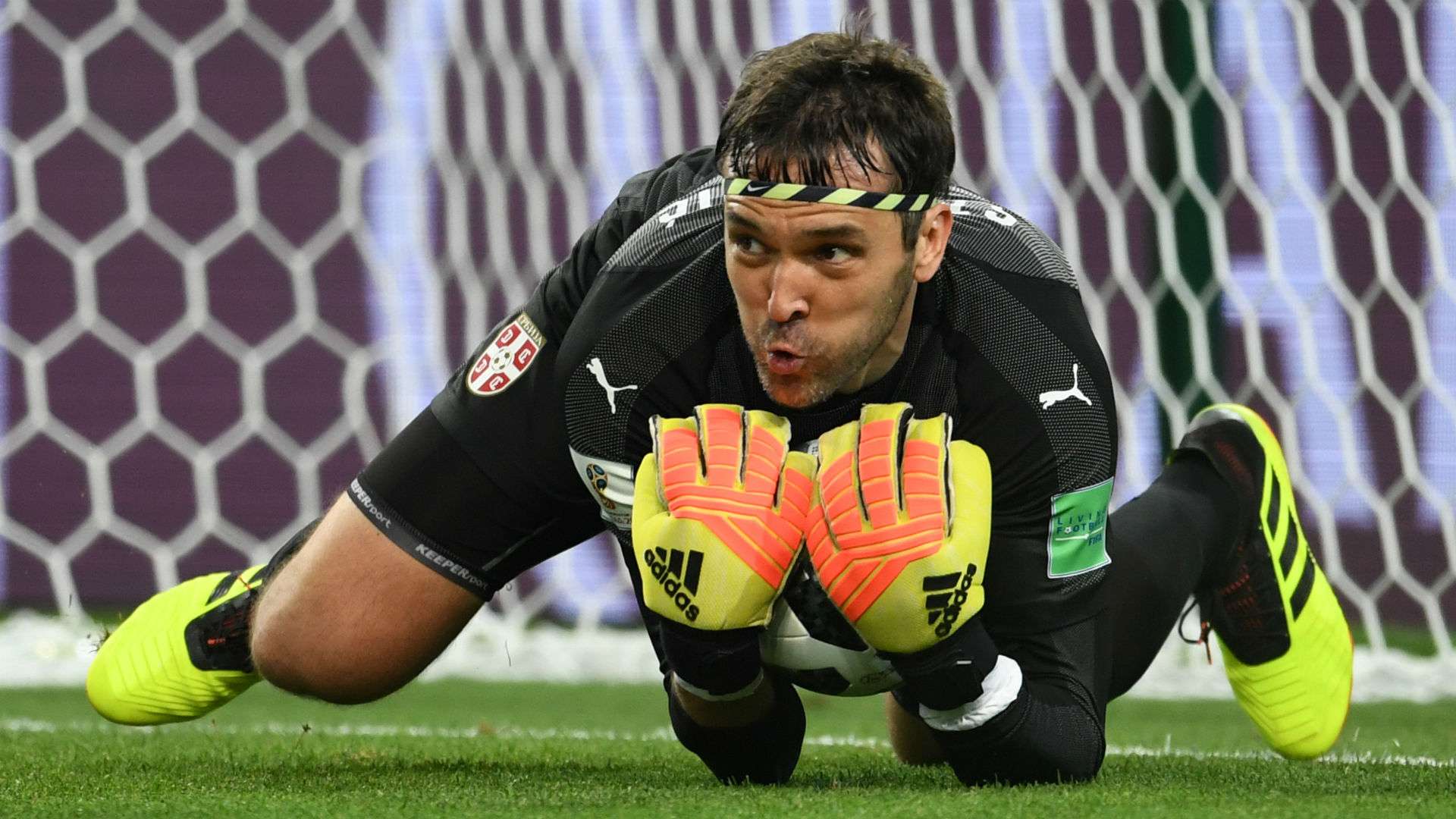 Vladimir Stojkovic Serbia World Cup