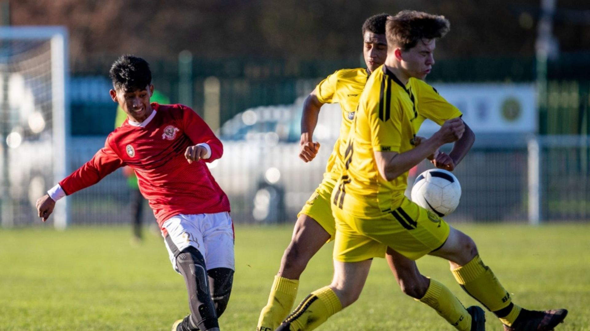 Renaldi - Garuda Select