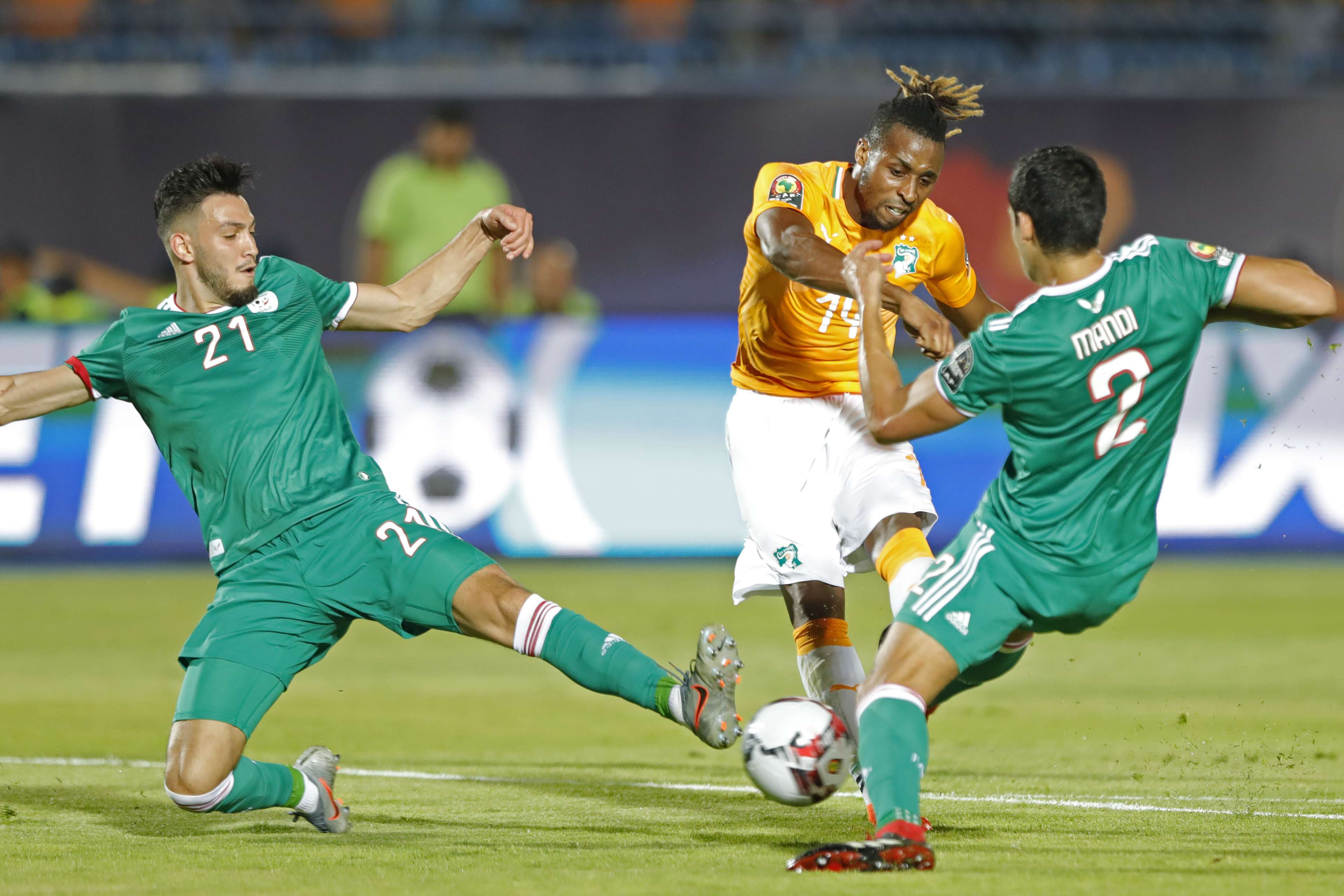 الجزائر - كوت ديفوار