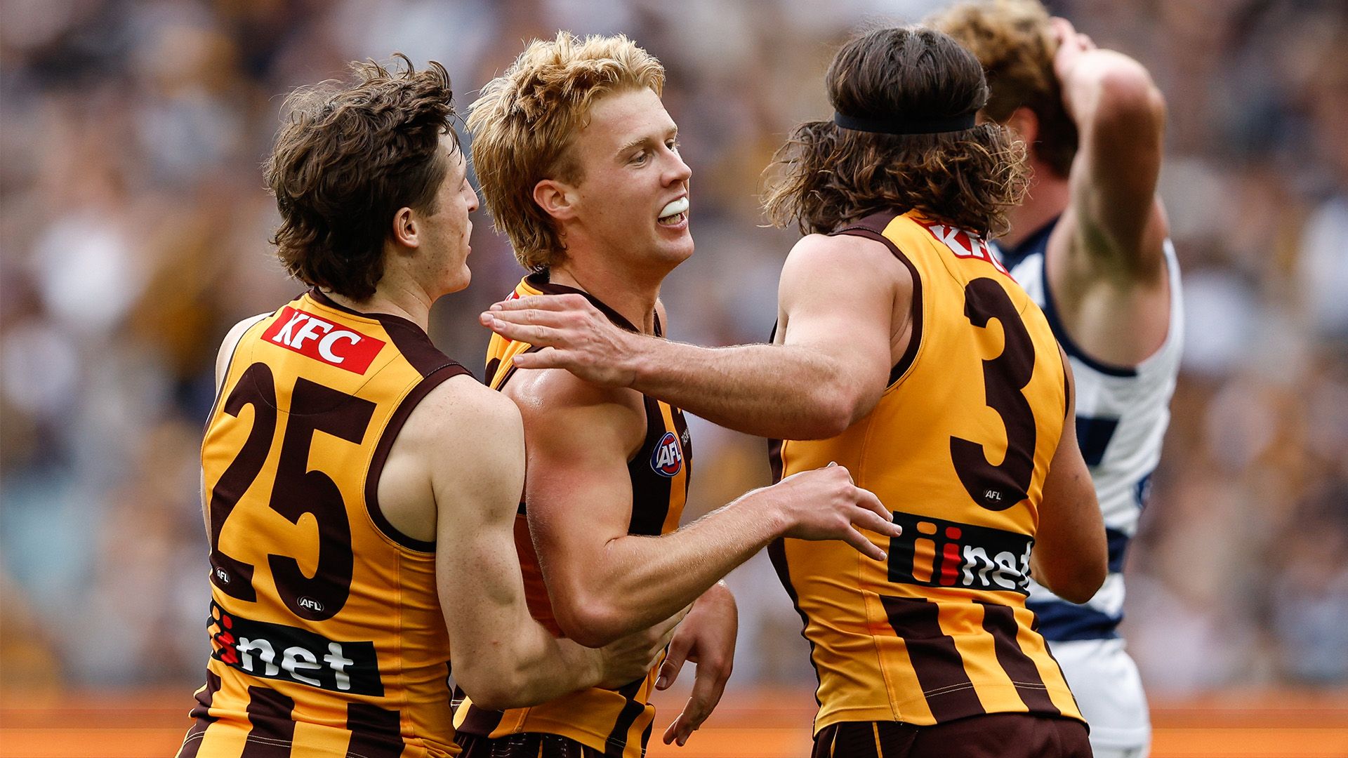 Hawthorn Hawks
