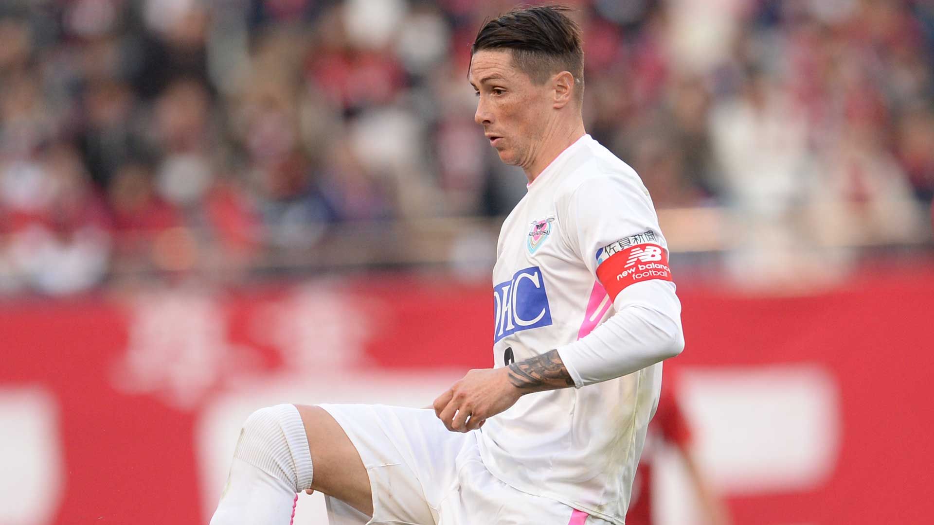 20181201-TOSU-FERNANDO TORRES